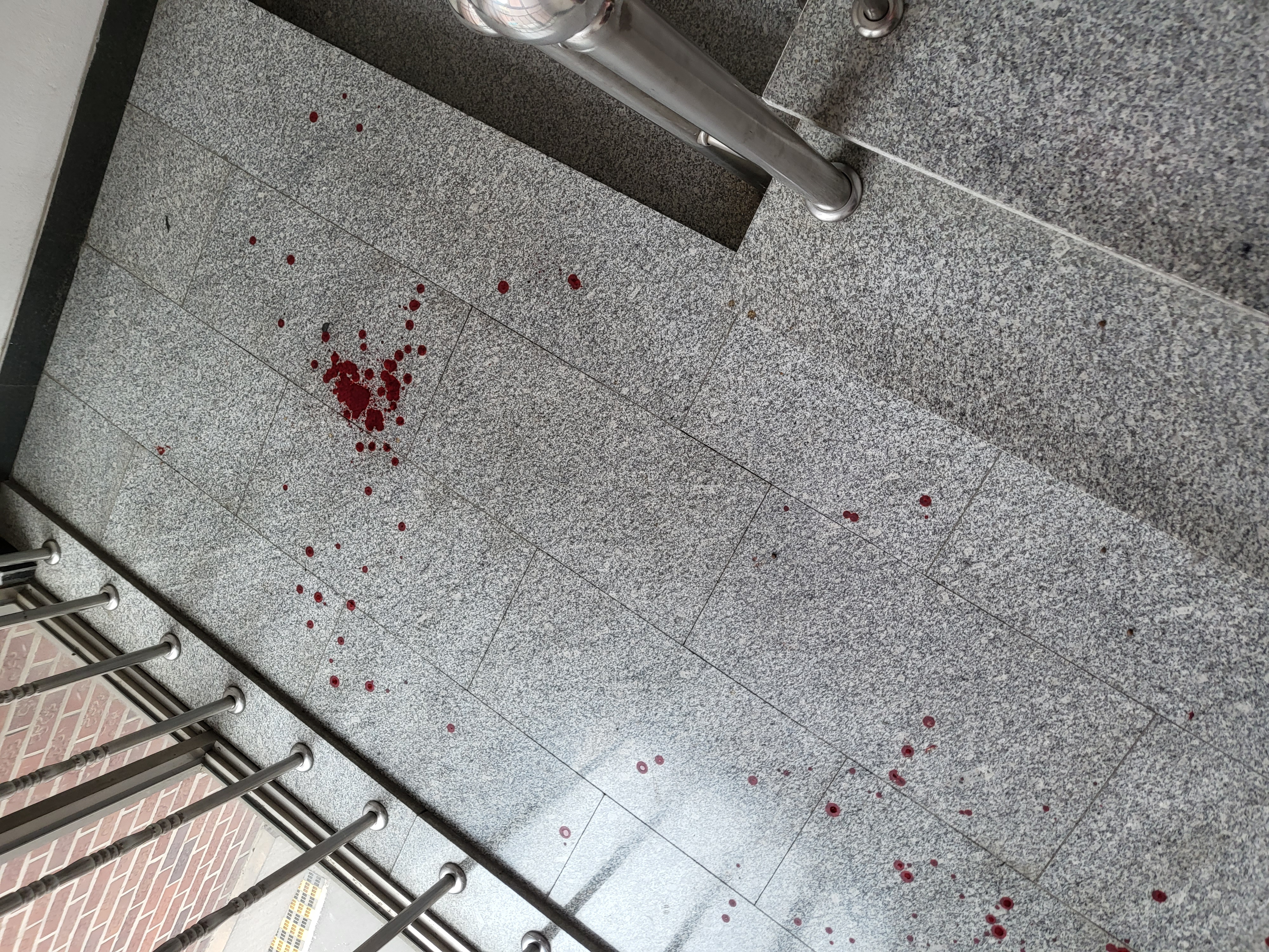 고양이 학대사망 의심건 신고합니다