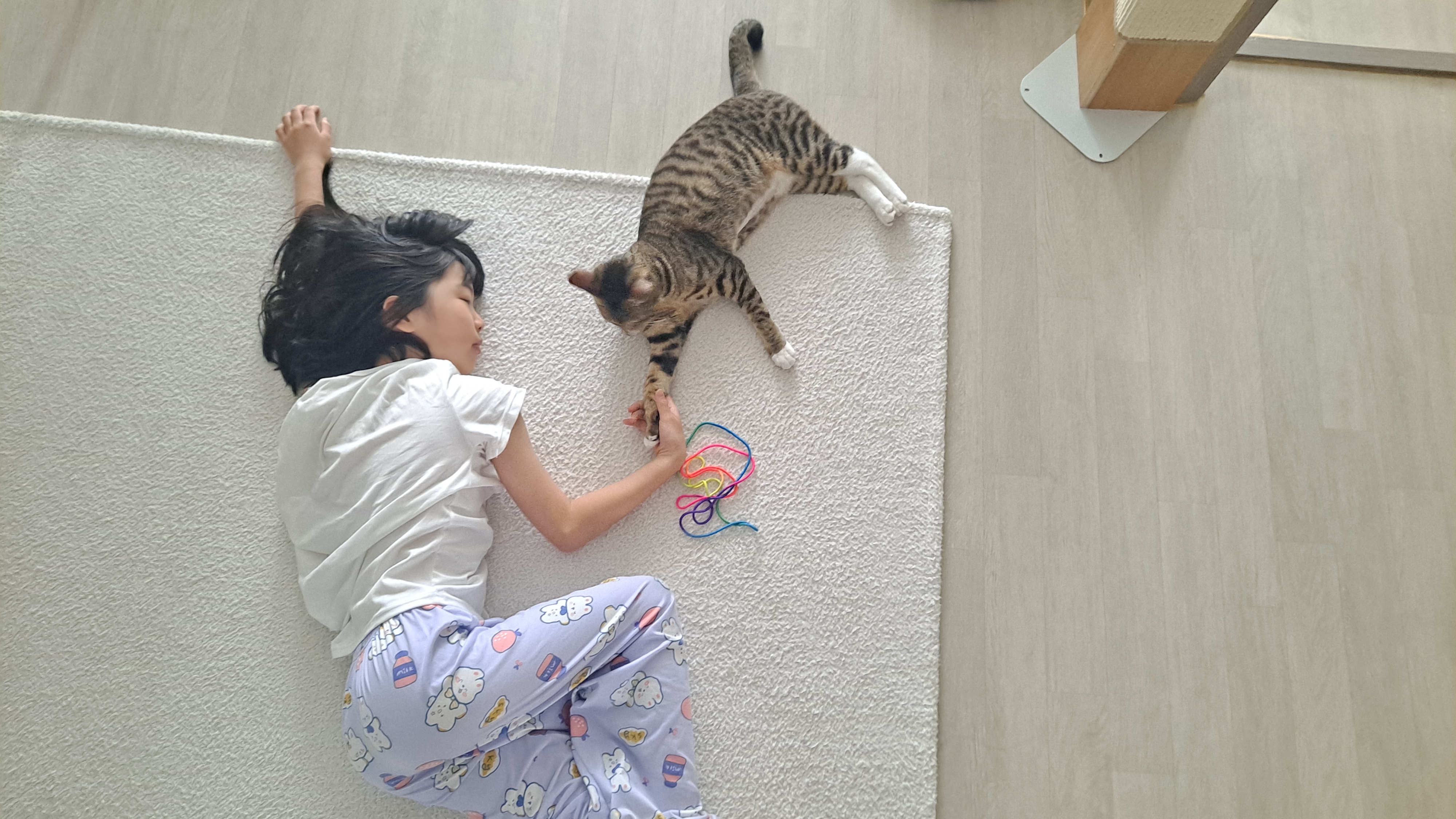 사튼이