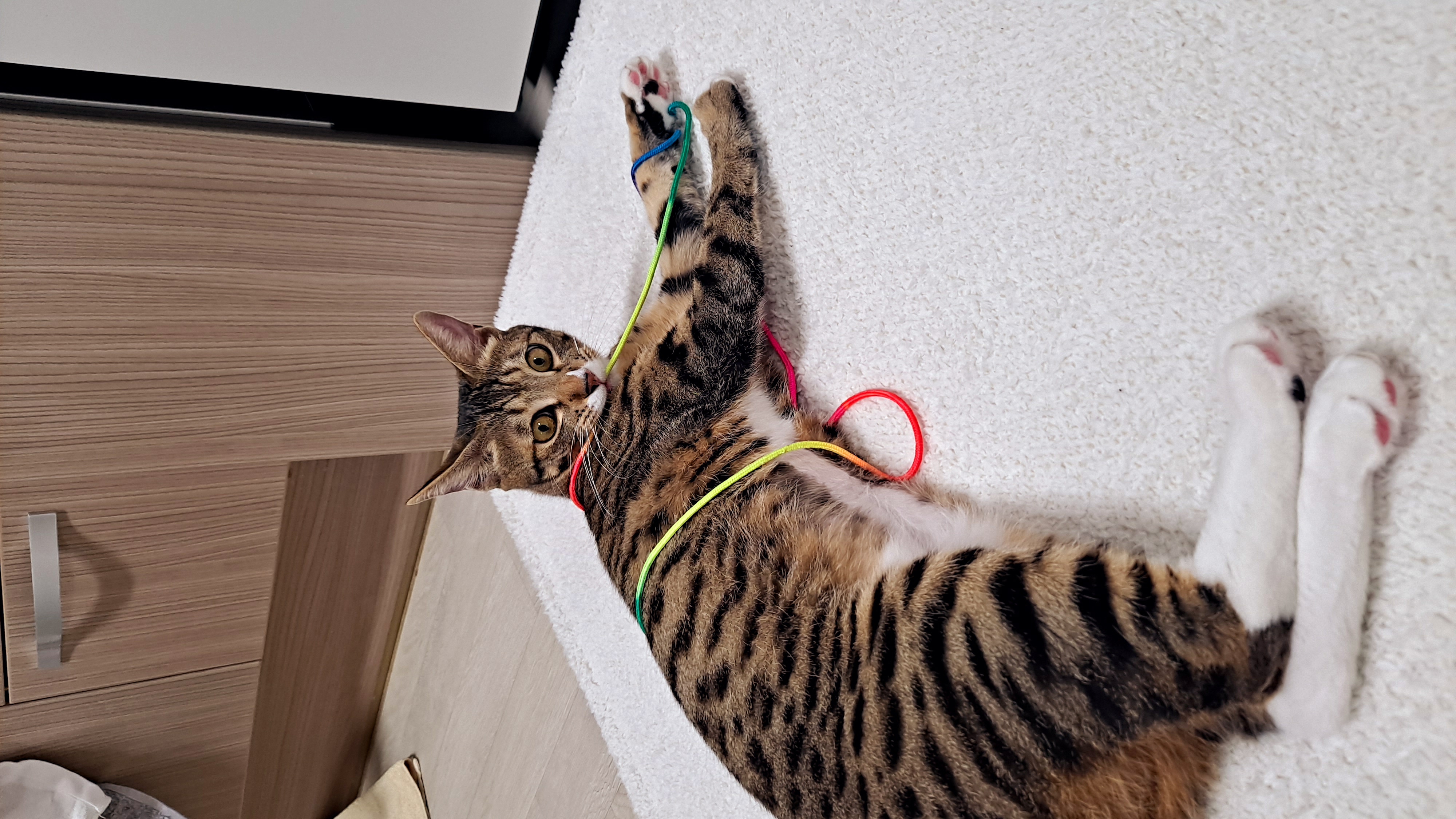 사튼이
