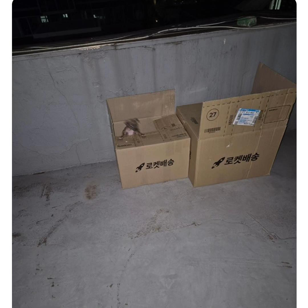 상태가 너무 위급해보입니다. 도와주세요..