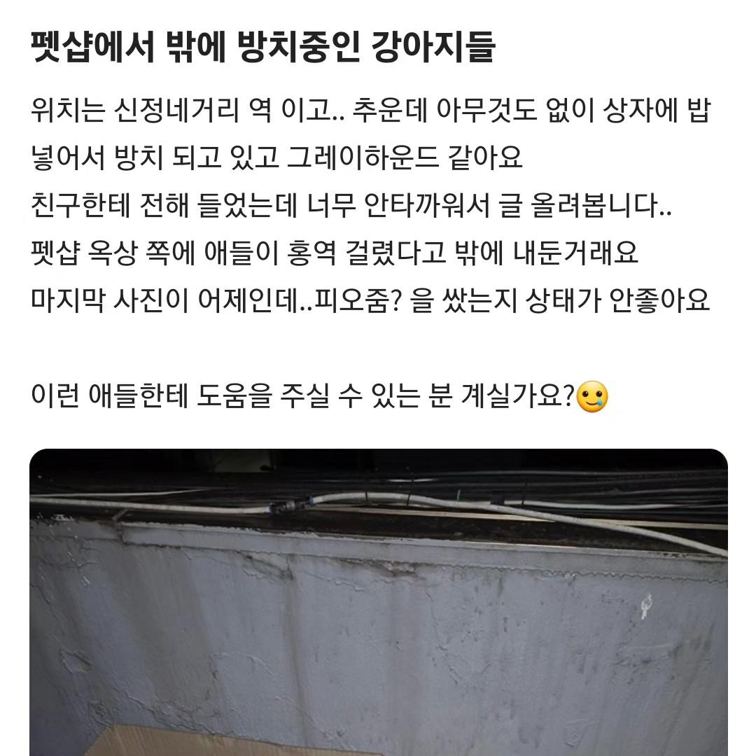 상태가 너무 위급해보입니다. 도와주세요..