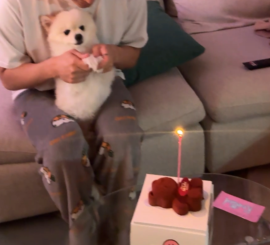 용식이(송오) 어느덧 3년되었네요!