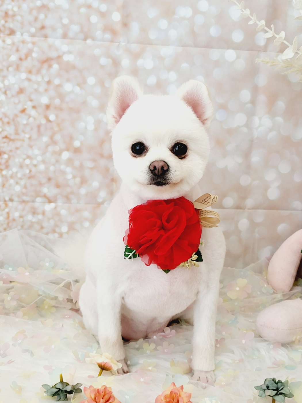 우리요미에요~