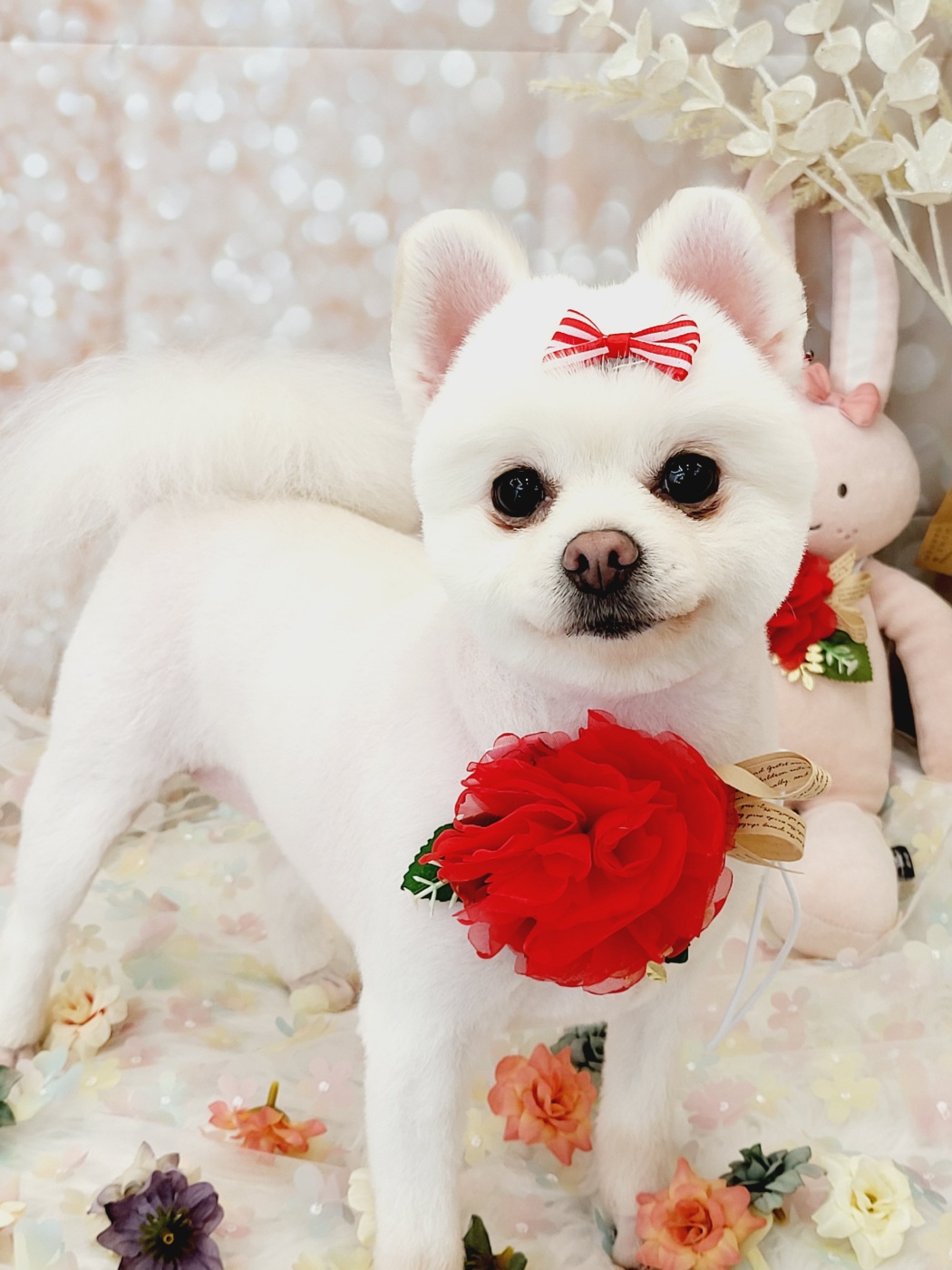 우리요미에요~
