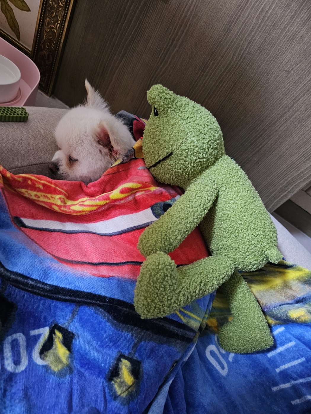  태어난 지 9일  햇살이(뽀동이)  잘 지내고 있어요