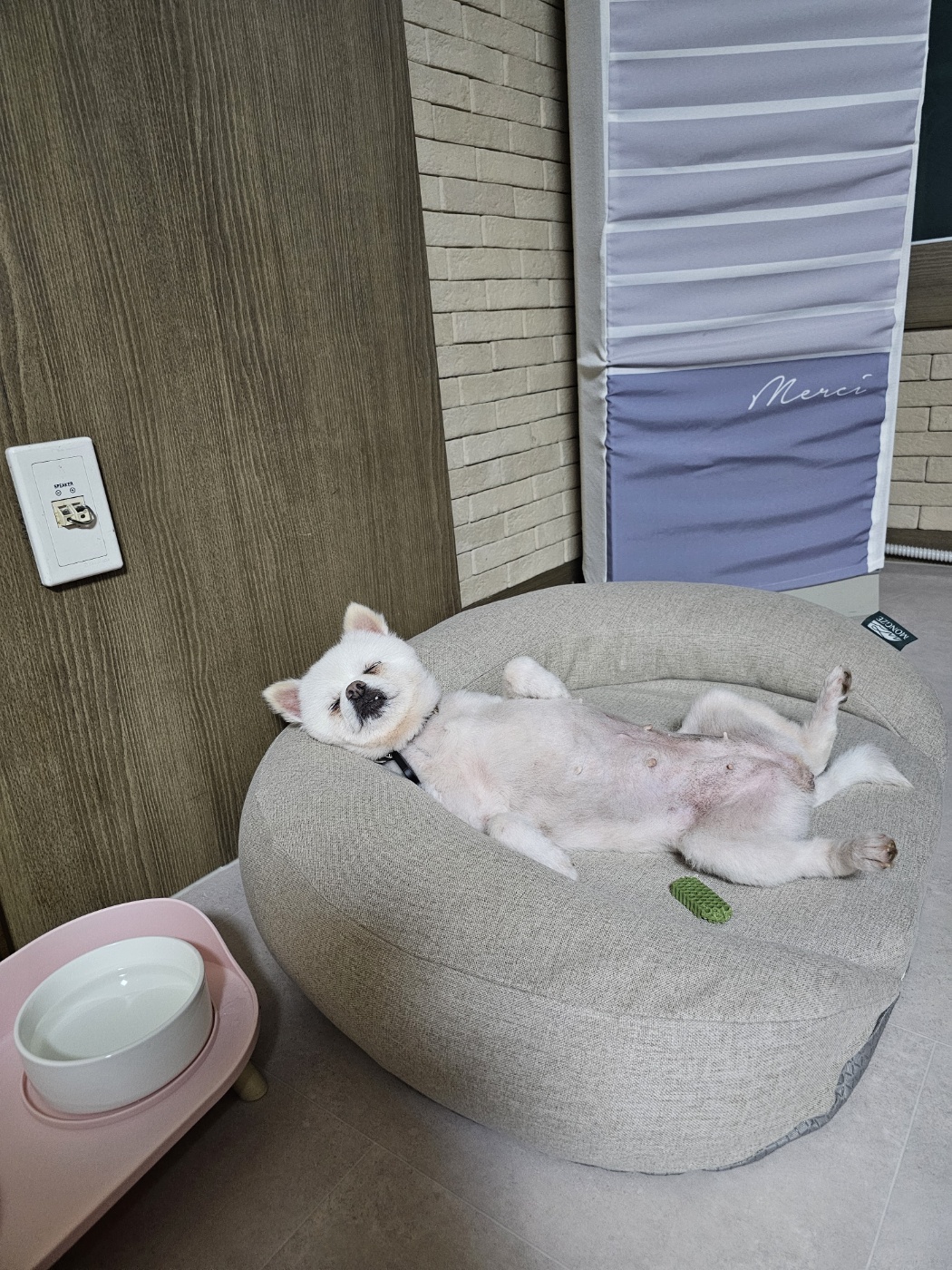  태어난 지 9일  햇살이(뽀동이)  잘 지내고 있어요