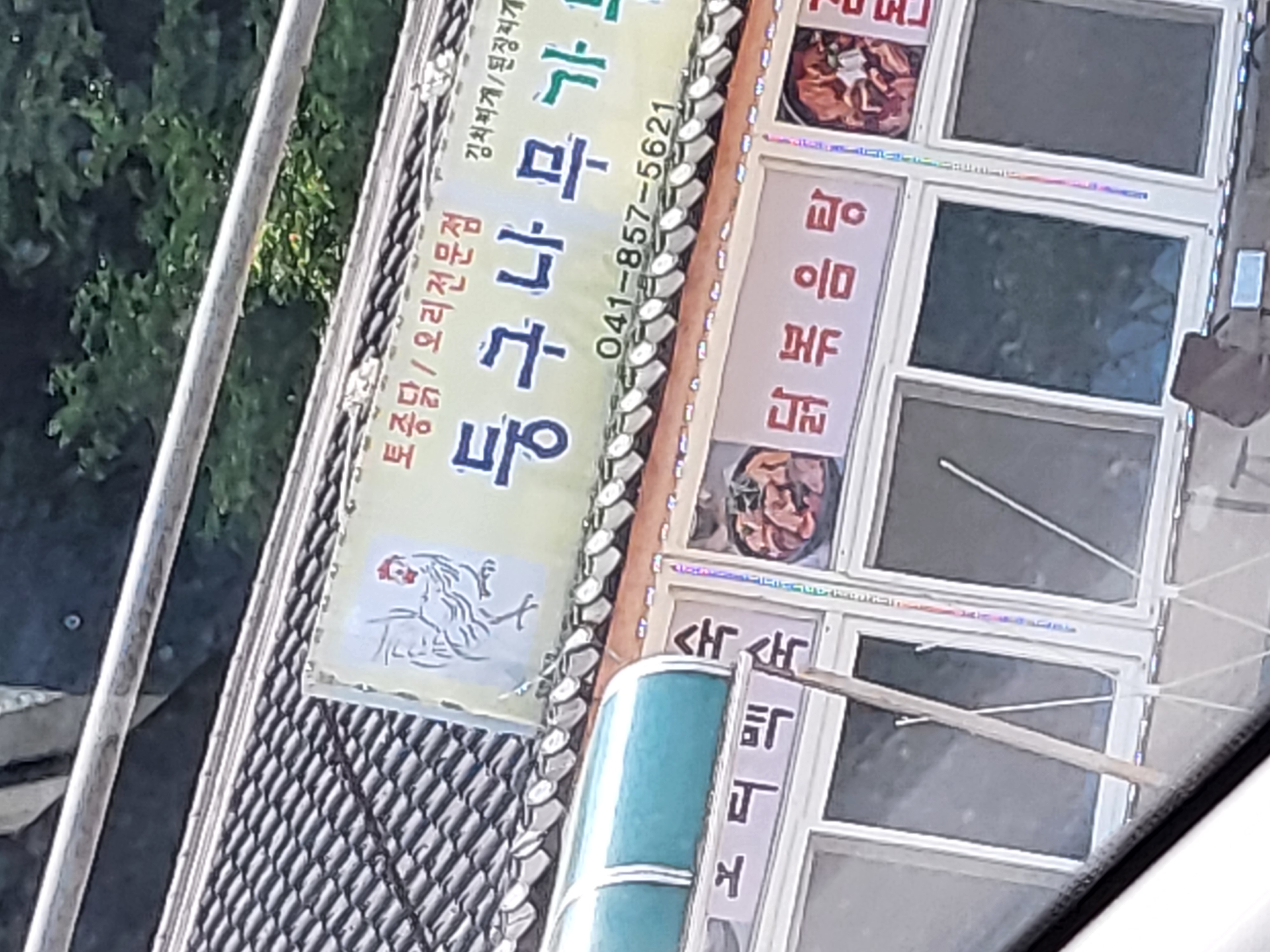 5년동안 감금된 황구를 구해주세요