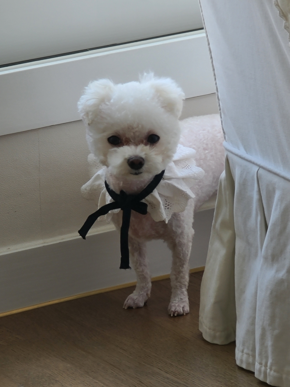 마음이 (네즈) 1년 이야기