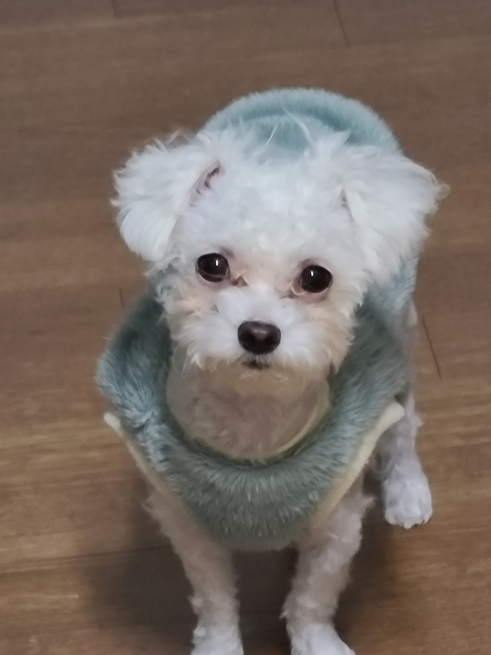 마음이 (네즈) 1년 이야기