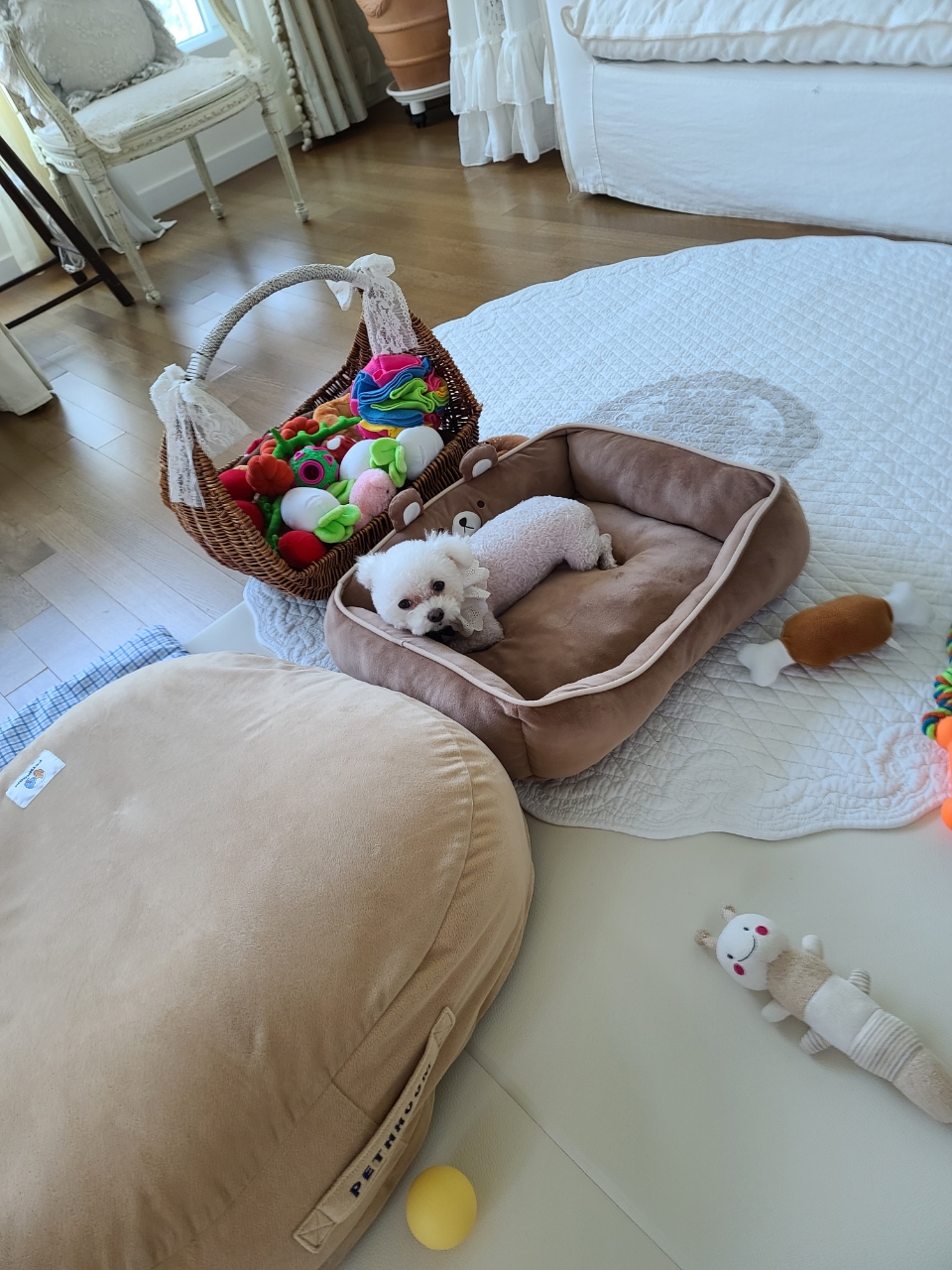 마음이 (네즈) 1년 이야기