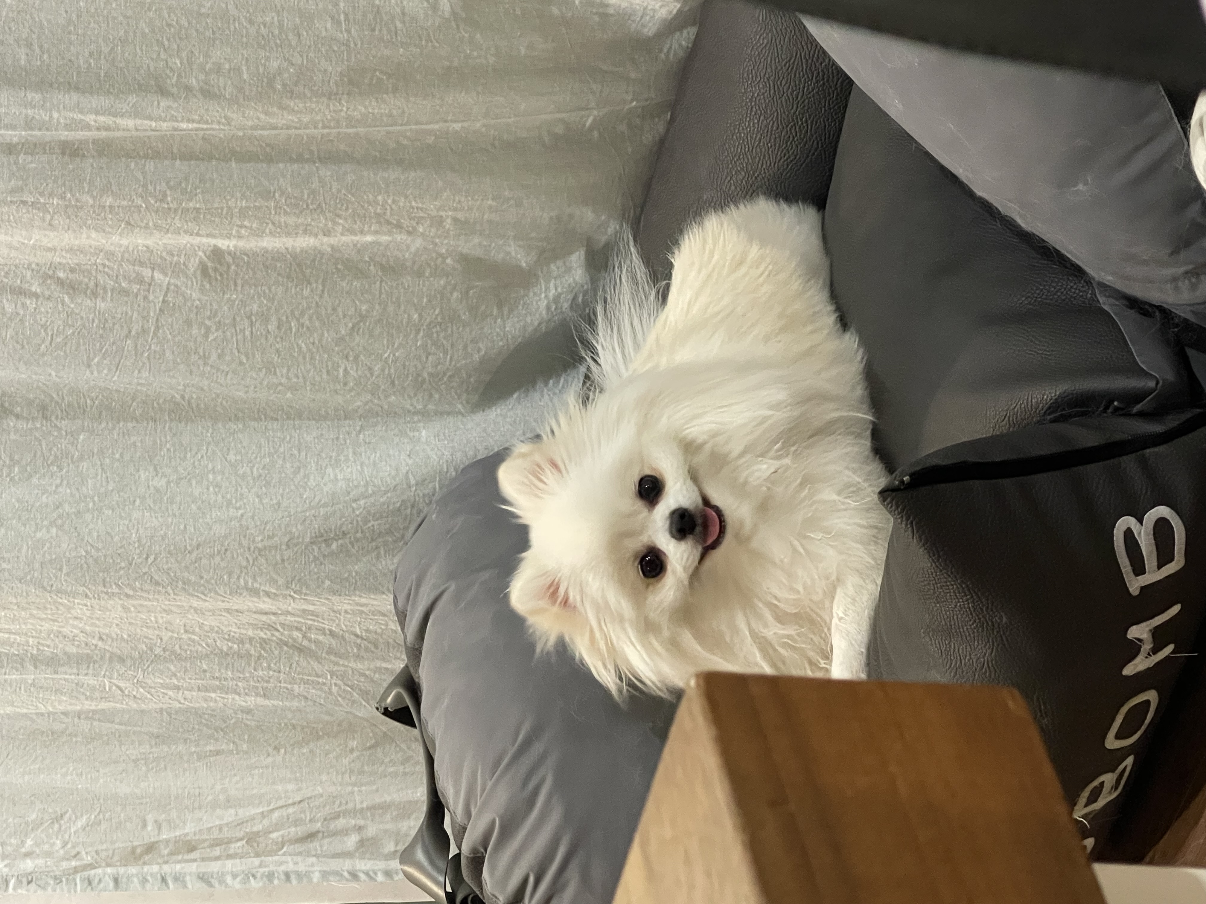 쌍동이처럼… 항상 함께해요