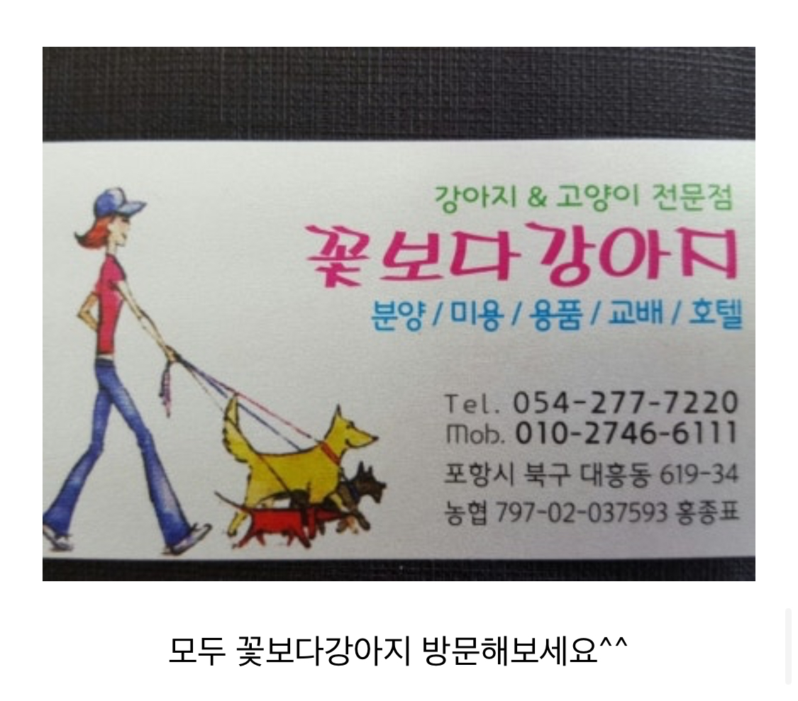 문 닫은 펫샵에 아이들이 있어요