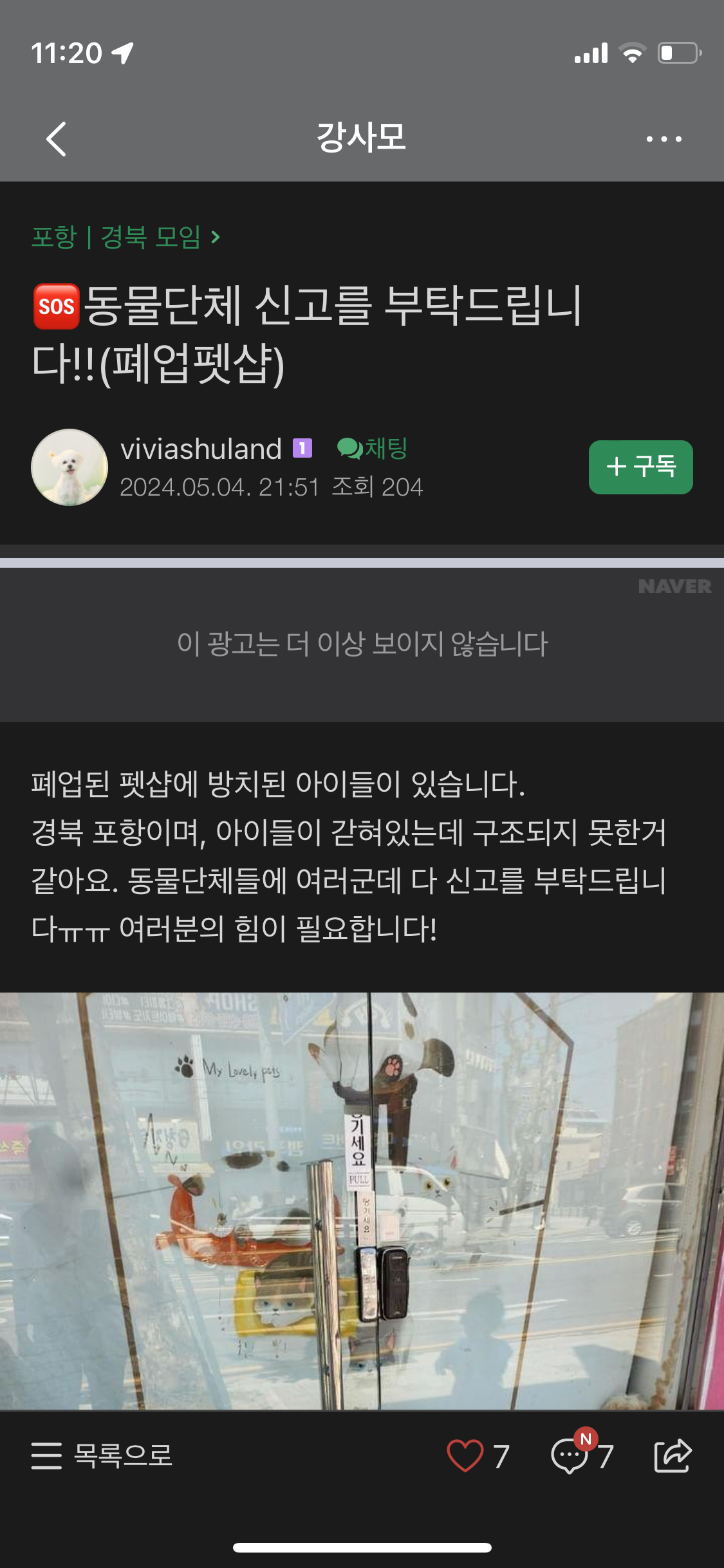 문 닫은 펫샵에 아이들이 있어요