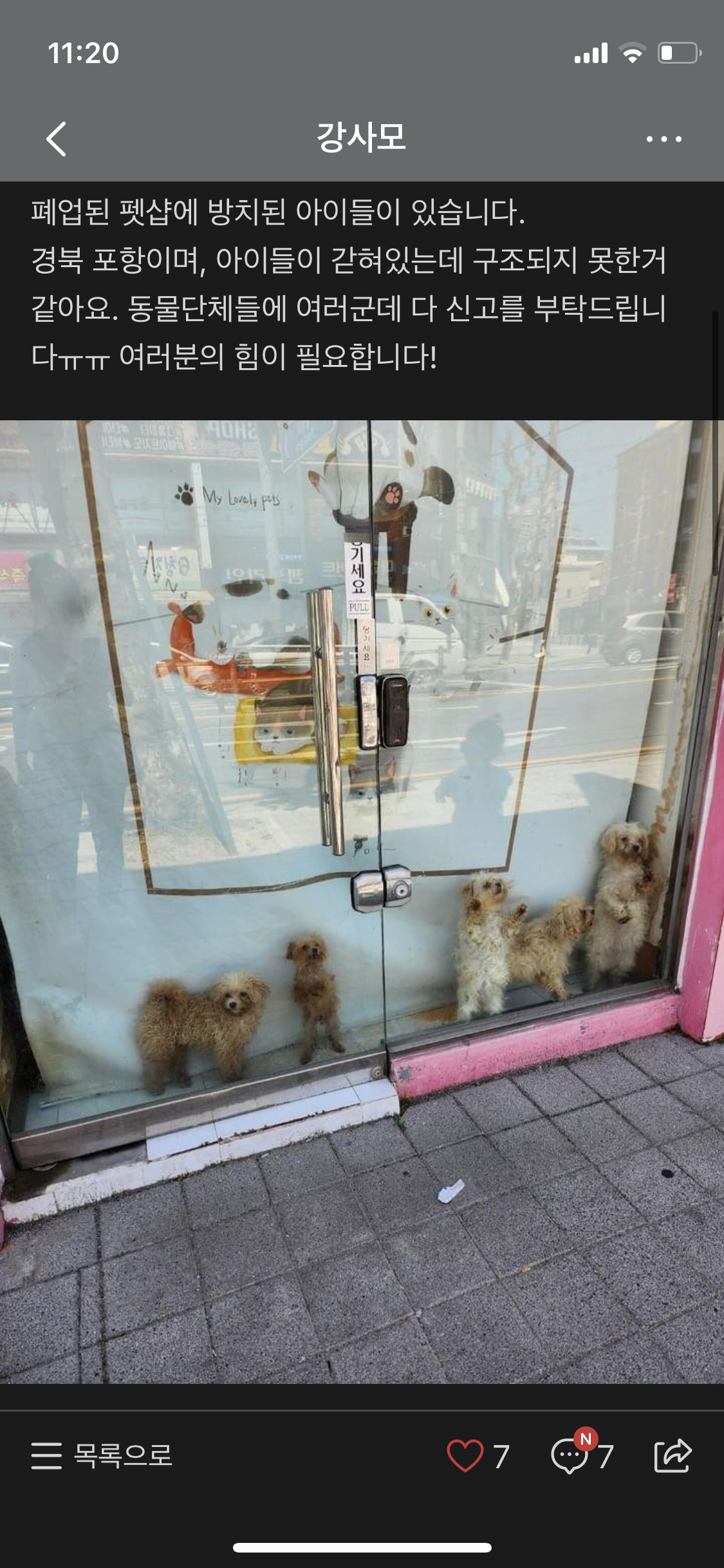 문 닫은 펫샵에 아이들이 있어요