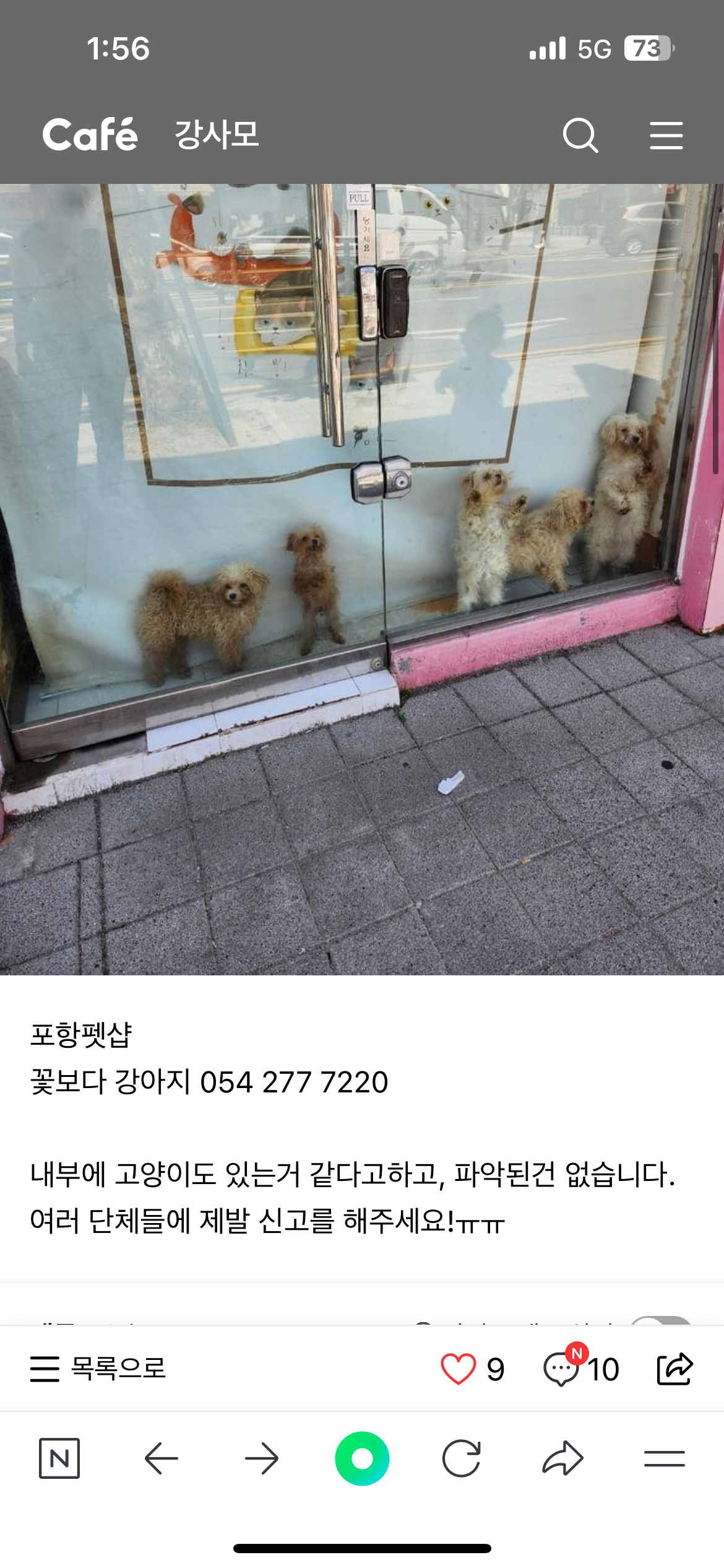 포항 폐업 펫샵 강아지 도와주세요