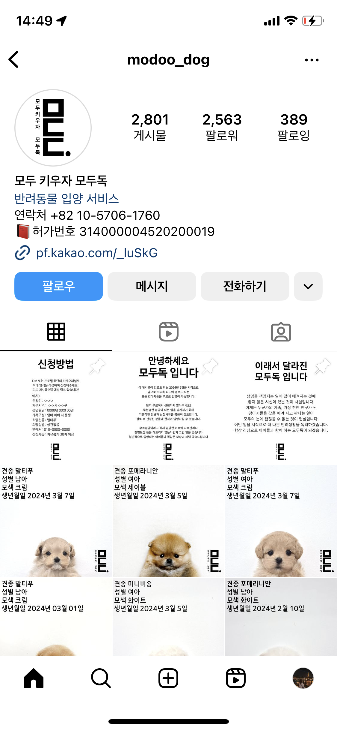 무료분양중인 수상한펫샵