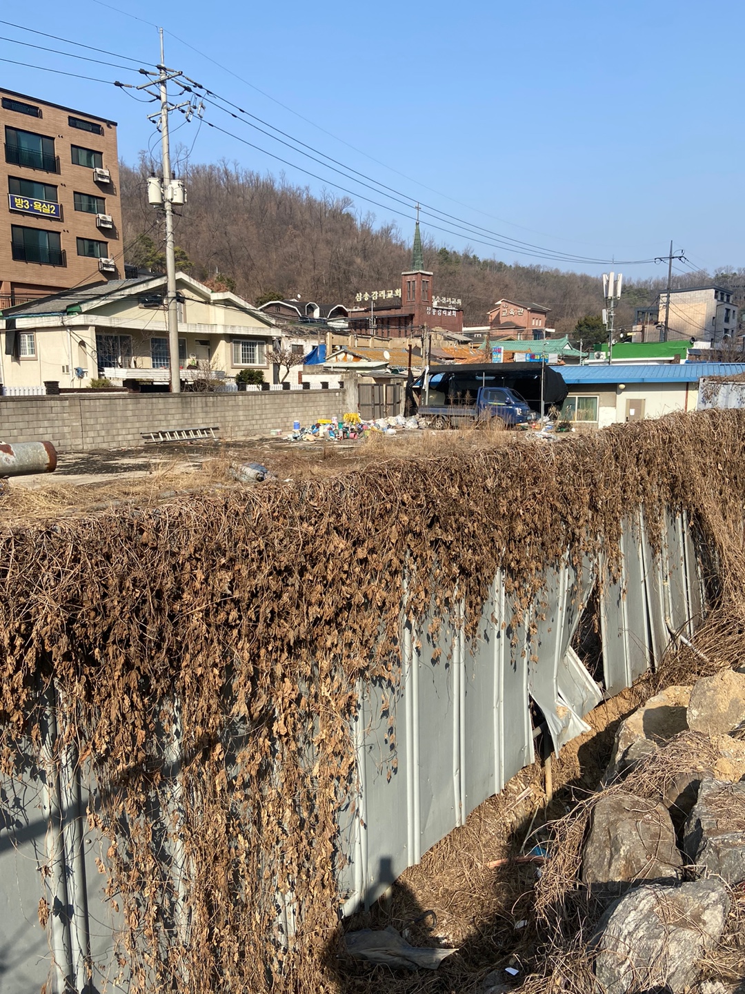 20여년 넘게 개를 돈벌이에 이용하고 방치만하는 아저씨를 말려주세요