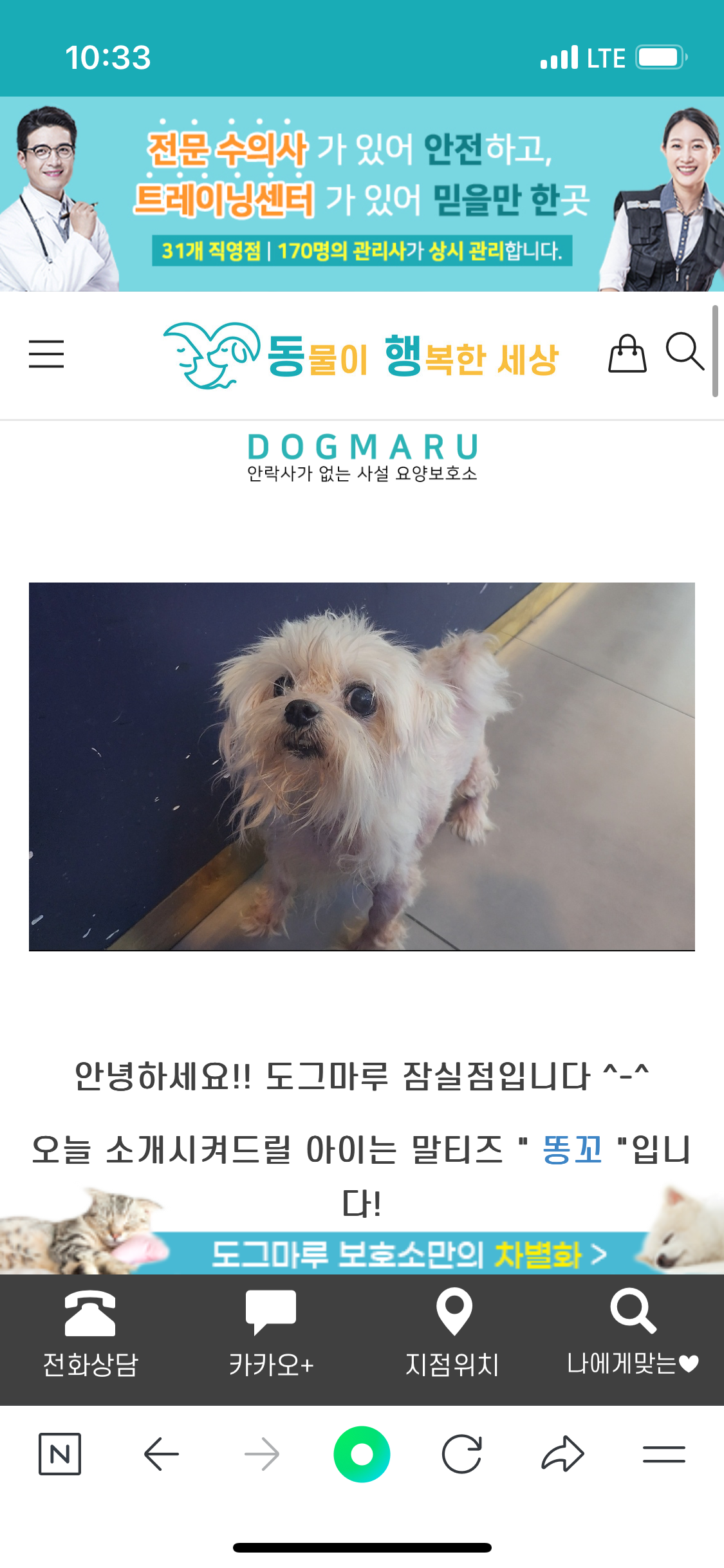 보호소에서 방치 당하는 작은 생명을 구해주세요