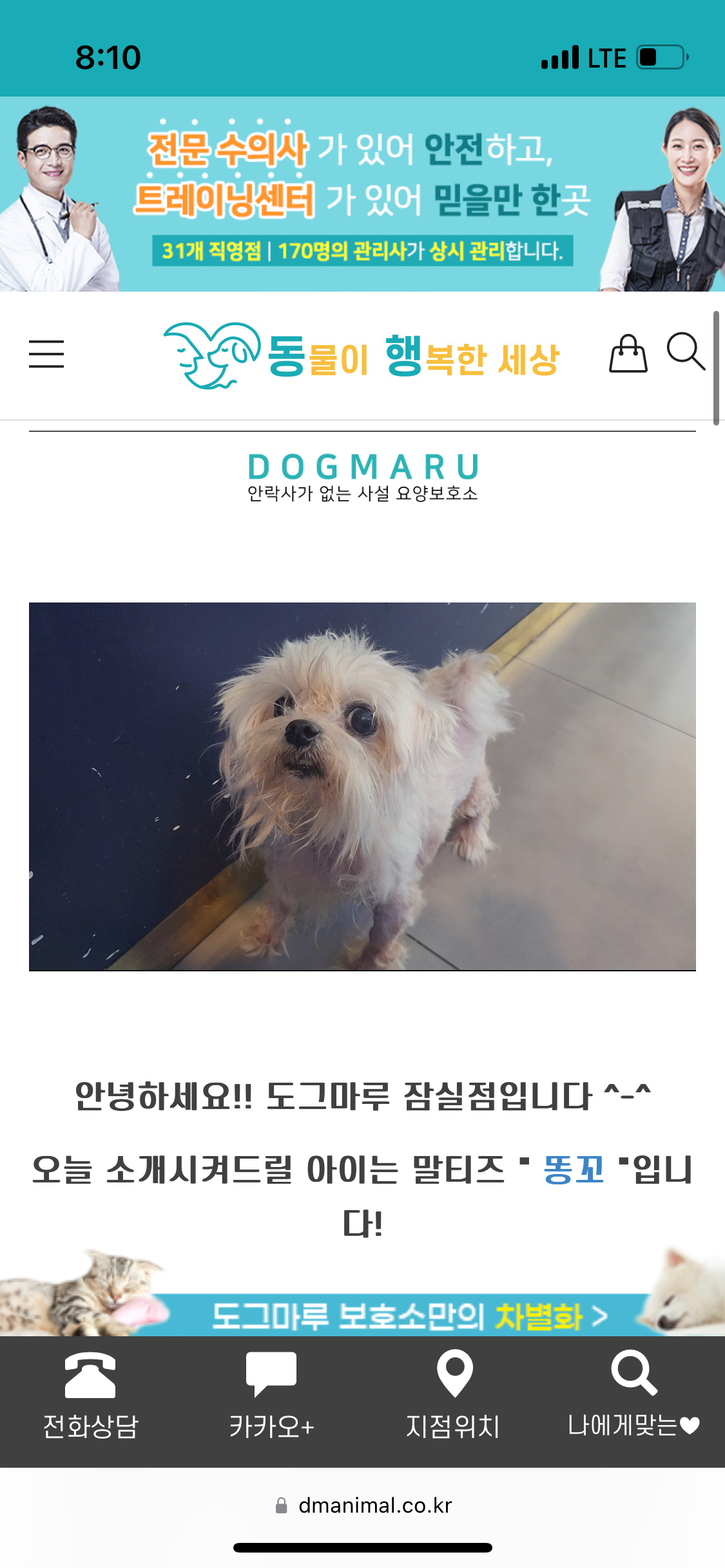 안락사없는 사설보호소