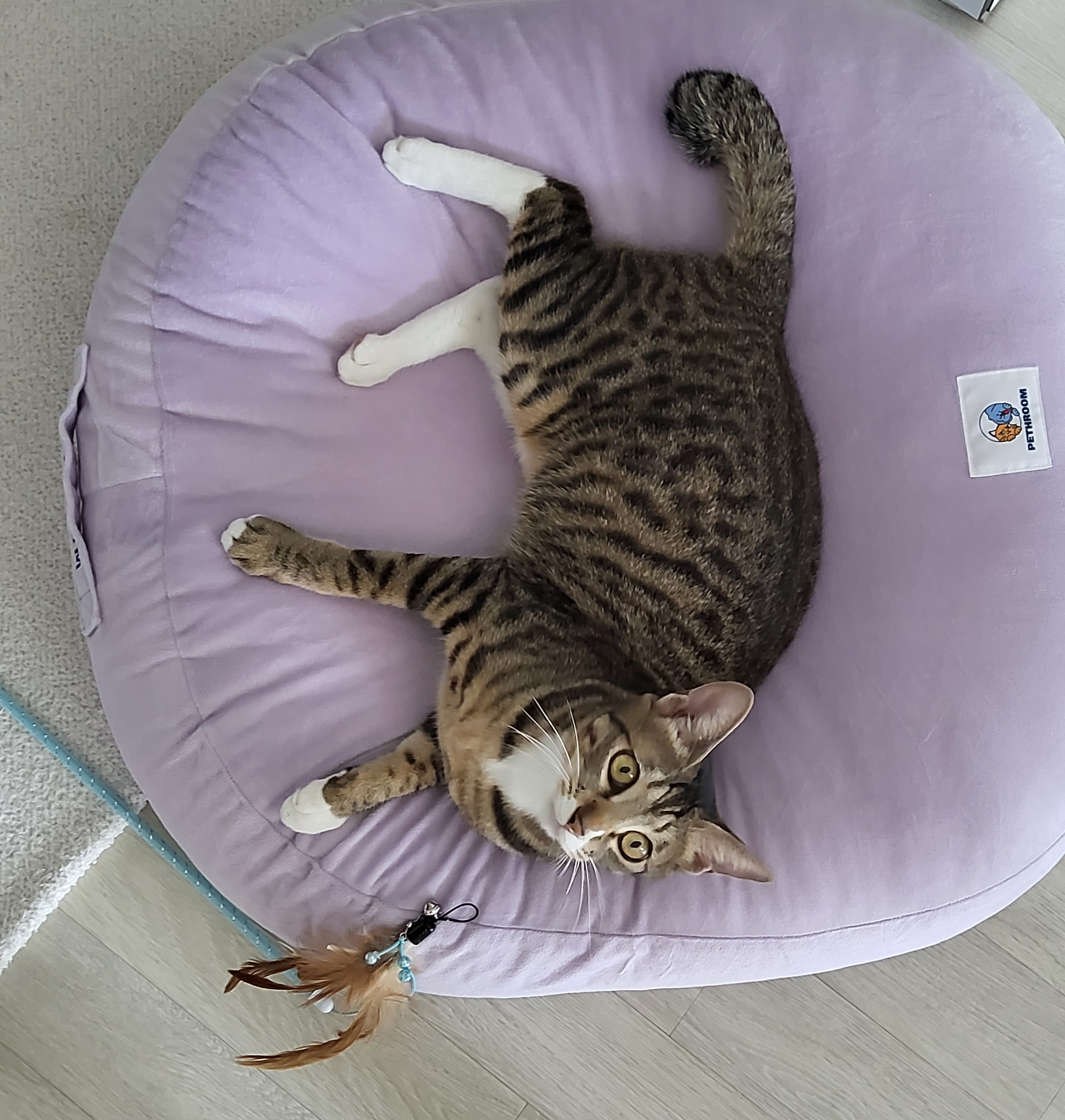 사튼이 한 달 