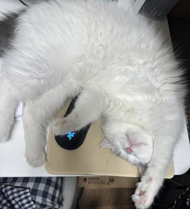 채운이가 엄청 컸어요! (세 달 후기)