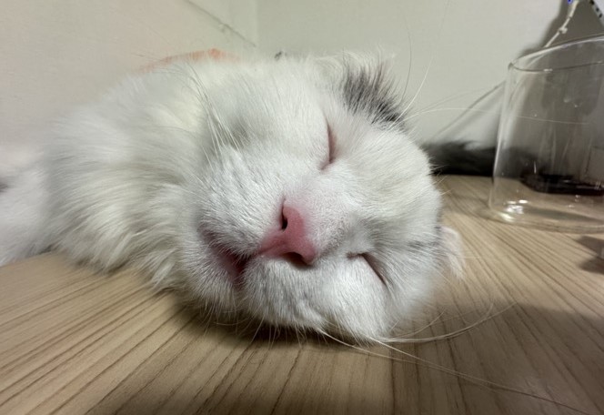 채운이가 엄청 컸어요! (세 달 후기)