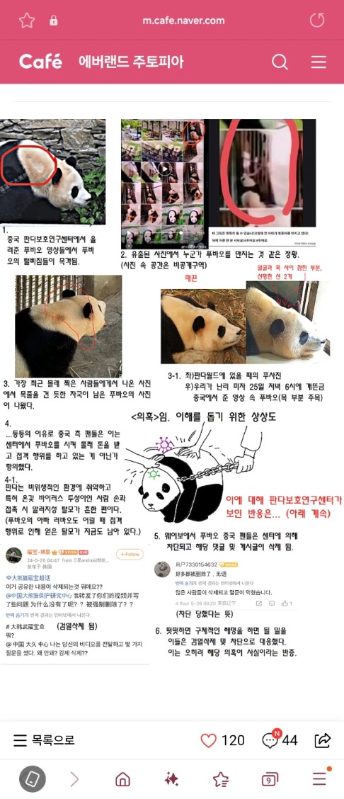 푸바오의 접객 및 각종 의혹에 대한 진실규명을 촉구하고자 합니다