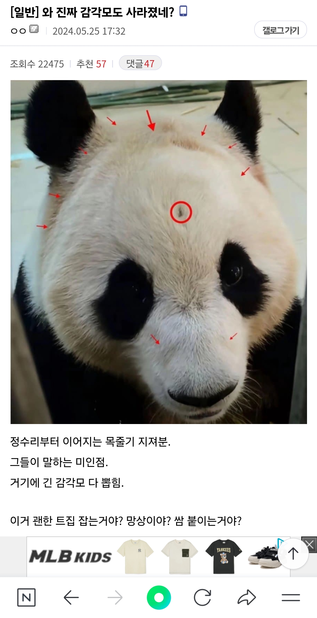 푸바오의 학대 논란을 촉구 하고자 글을 올립니다