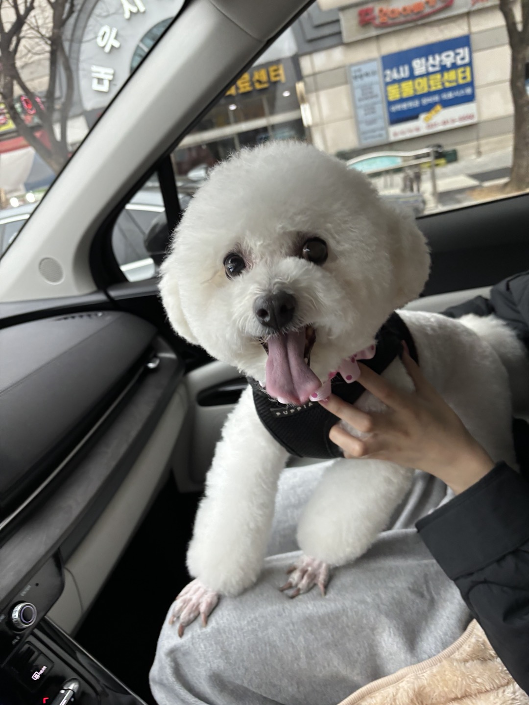 세나(다운이) 잘살고있어요~