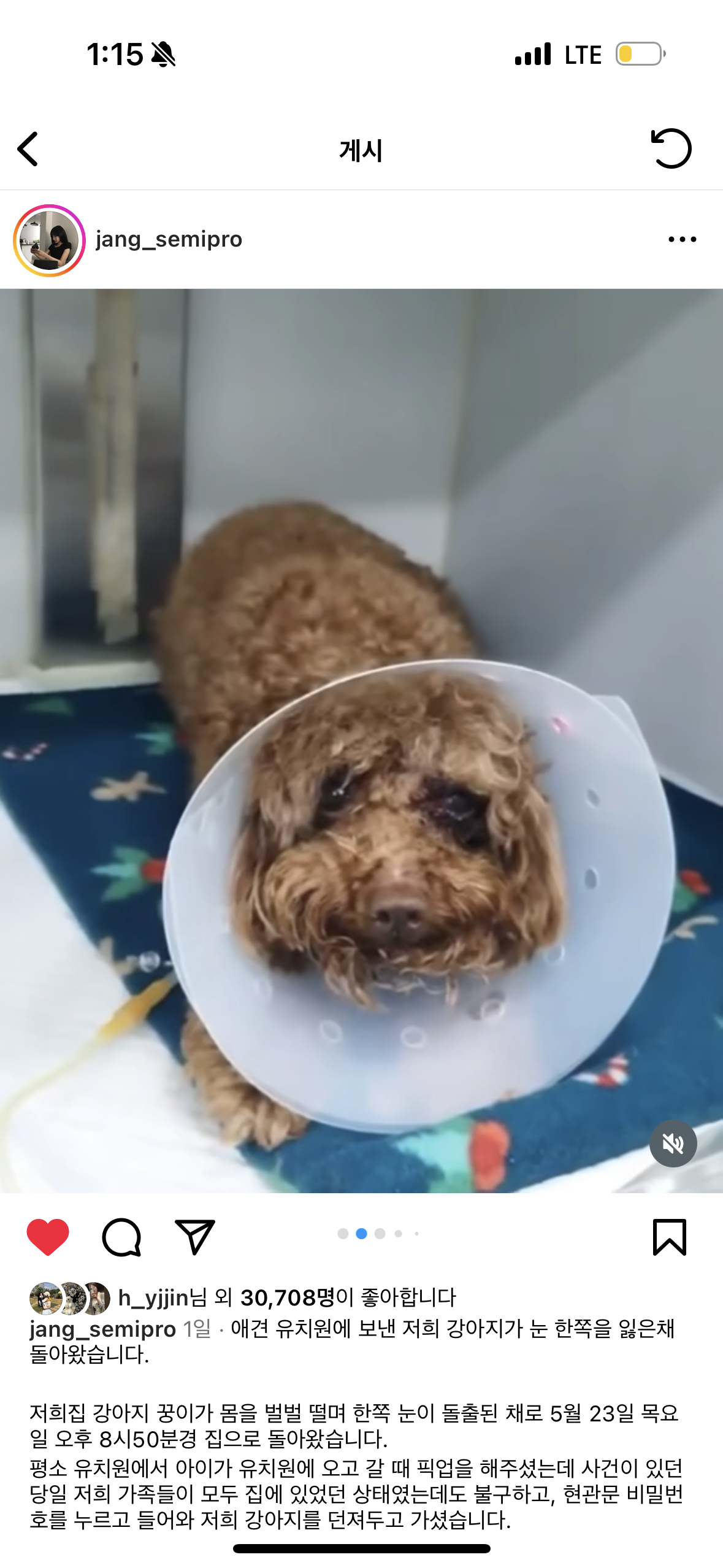 애견카페 직원 강아지 폭행