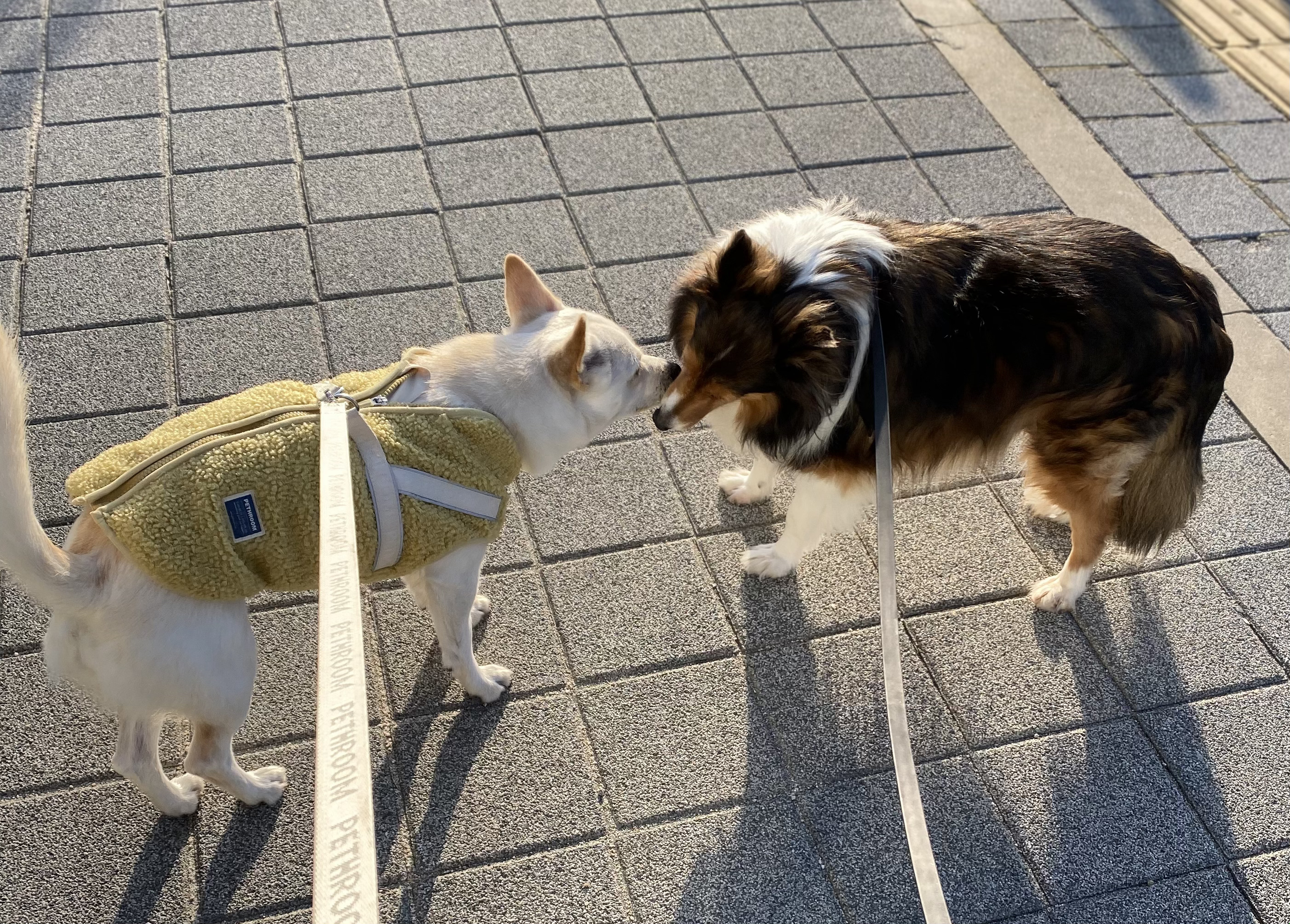 보미 소식 전해요~