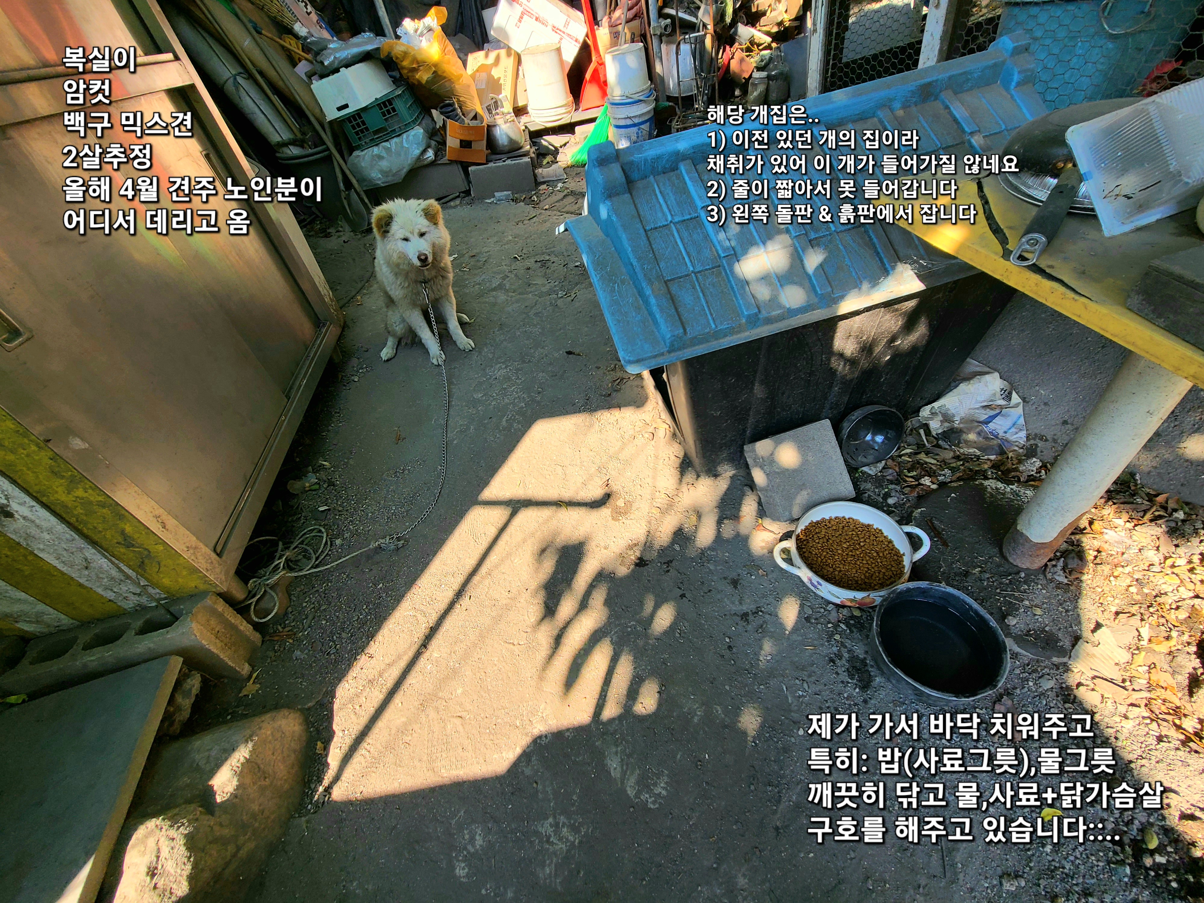서울특별시 서초구 내곡동, 열악한 사육환경&방치하는 곳 입니다