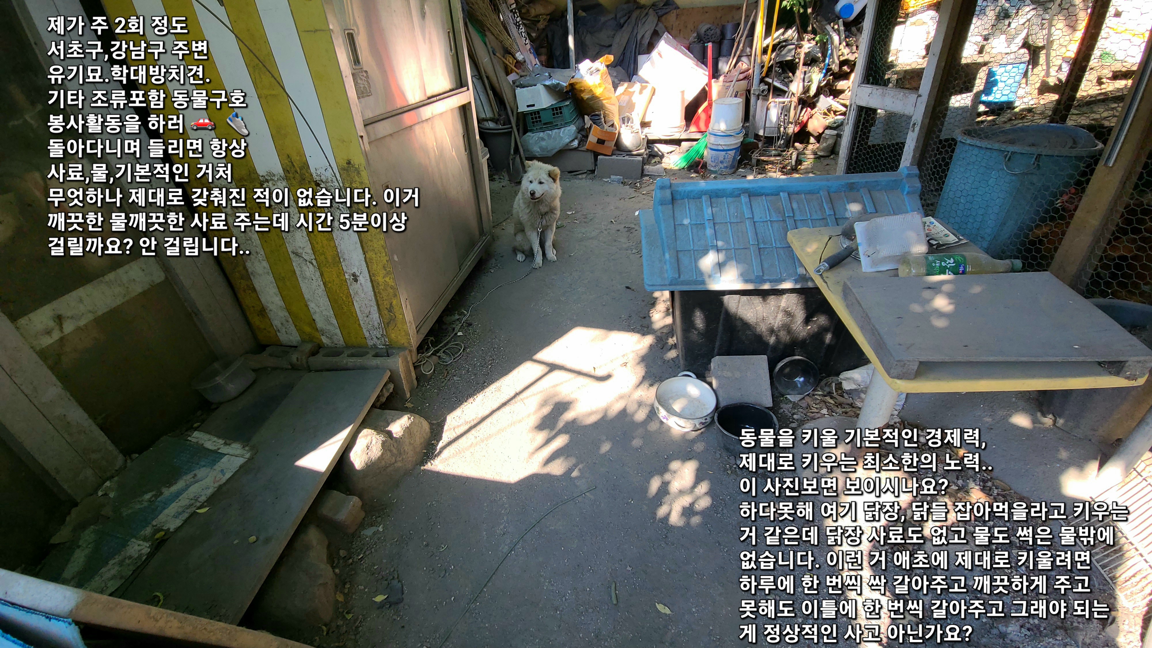 서울특별시 서초구 내곡동, 열악한 사육환경&방치하는 곳 입니다