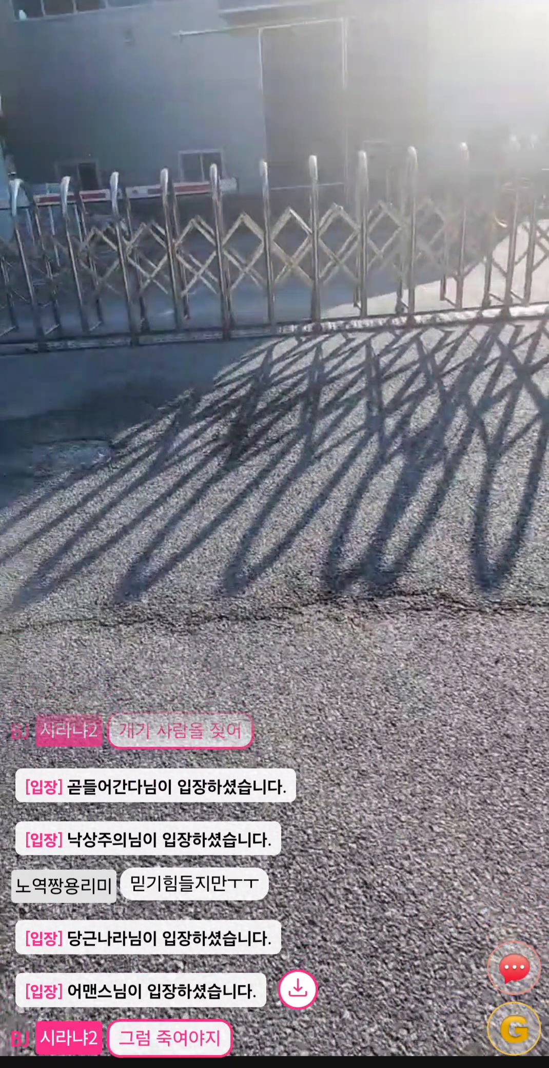 골드라이브 시라냐 비제이 강아지 동물 학대 내용 사진첨부하여 신고합니다.