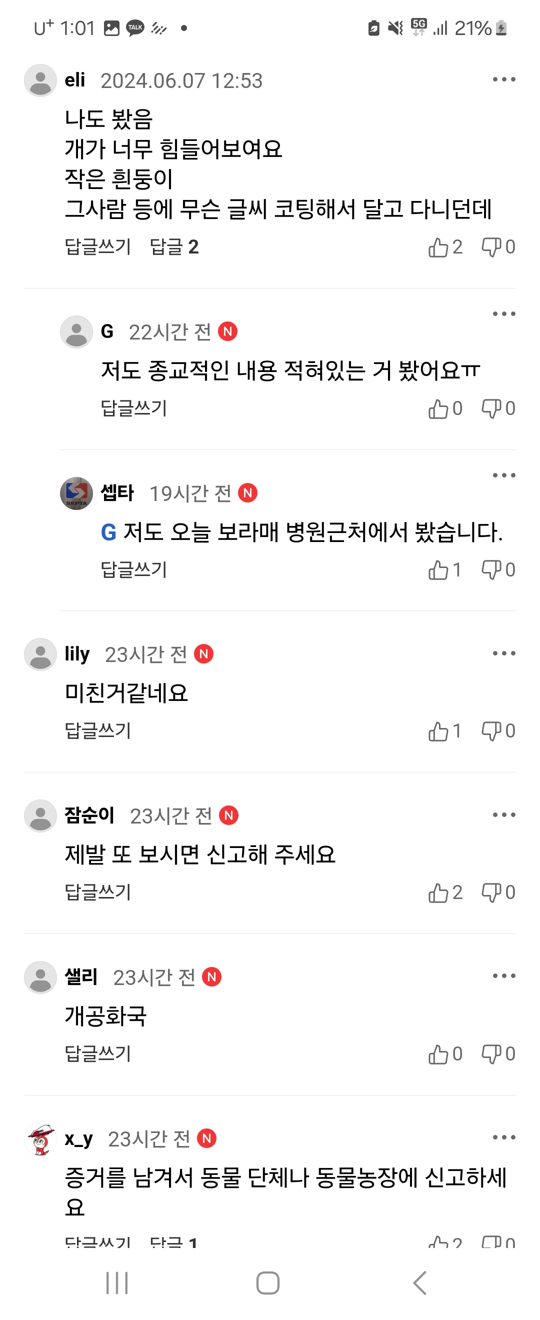 도로에서 소형강아지를 자전거에 매달아 매일 달리는 사람 제보합니다.
