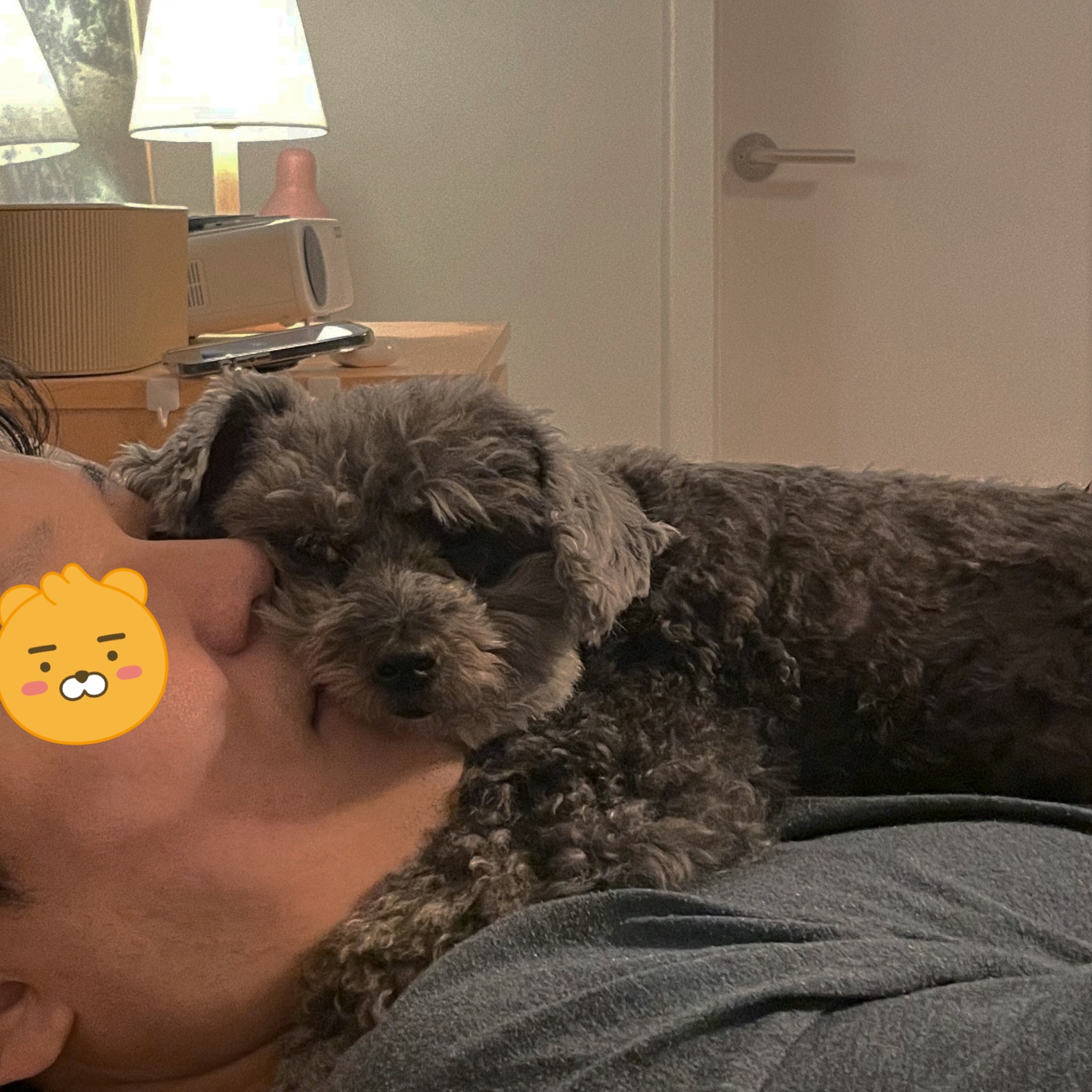 후추 입양 만 4년이 넘었어요~ (영천 엔쵸)