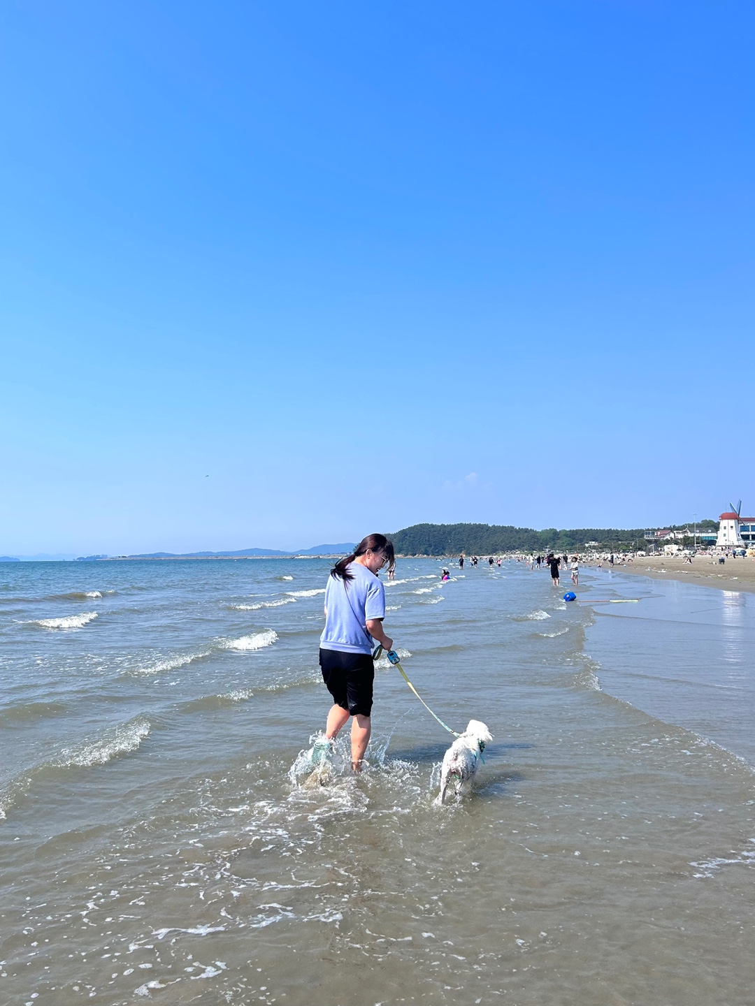 (양곤)루시의 3개월 행복 일기 
