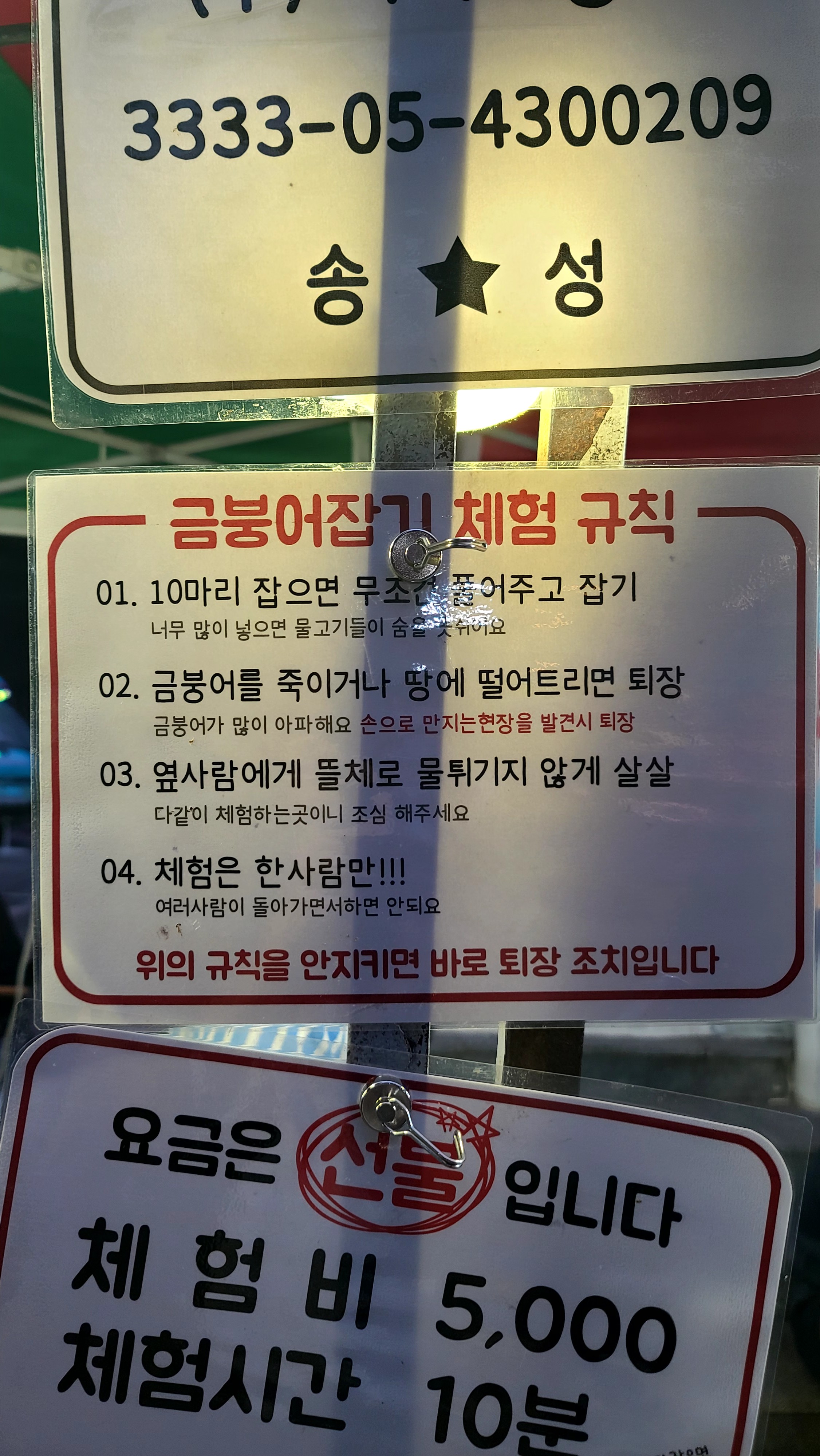 금붕어 잡기 체험
