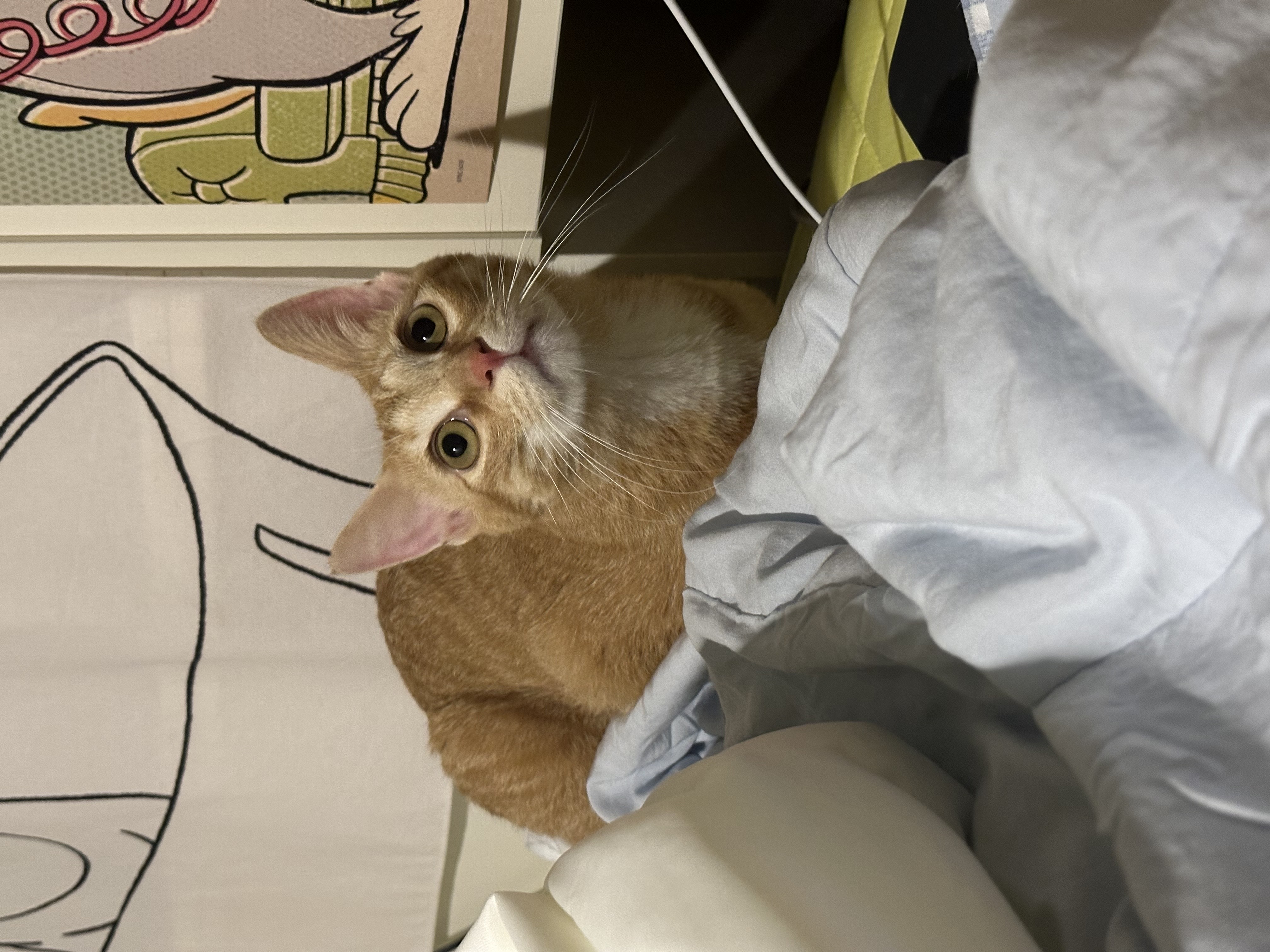 단이랑 벌써 3개월!