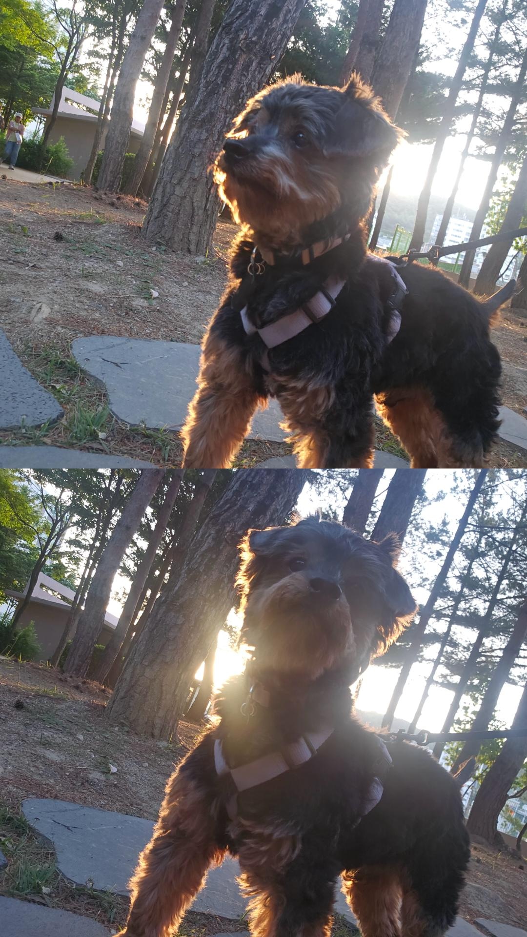 코카는 강준이 되었습니다.