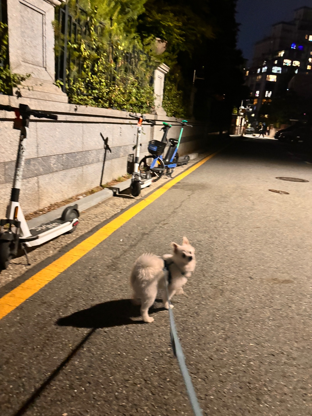뽀해 임보이야기