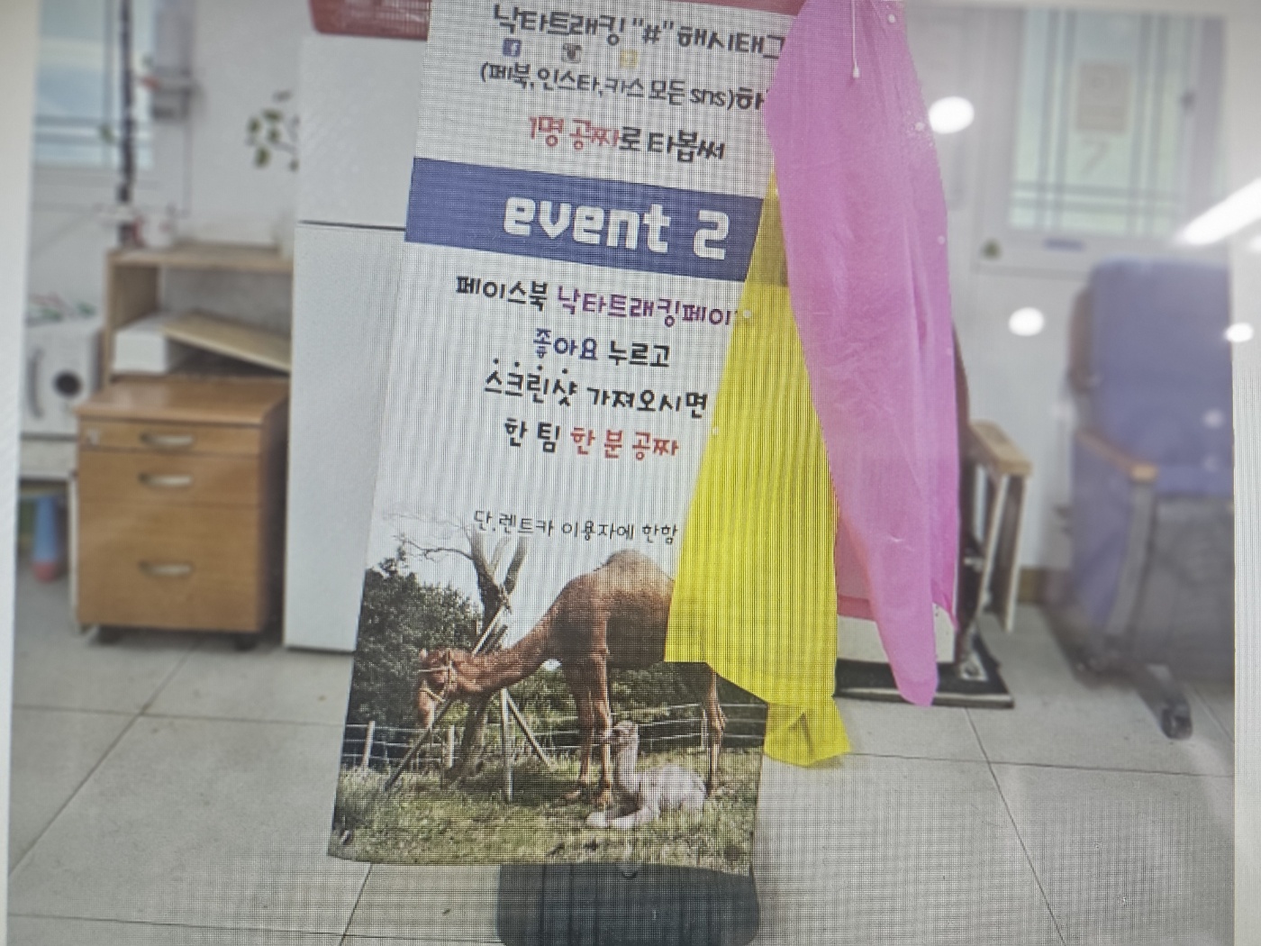제주도의 낙타들을 구해주세요