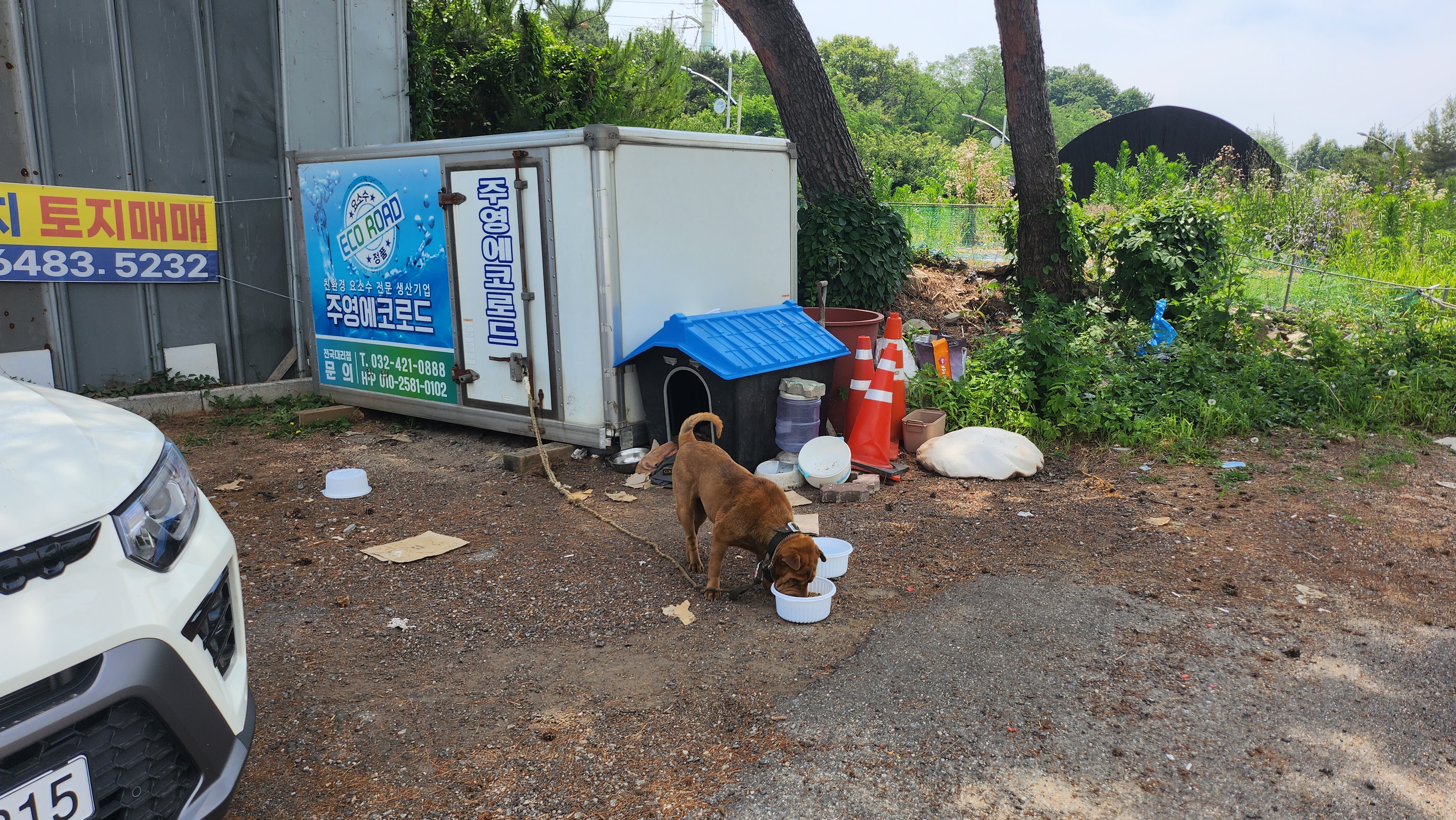 공장이 망한 뒤 아이를 국유지에 묶어두고 방치하고 있어요.
