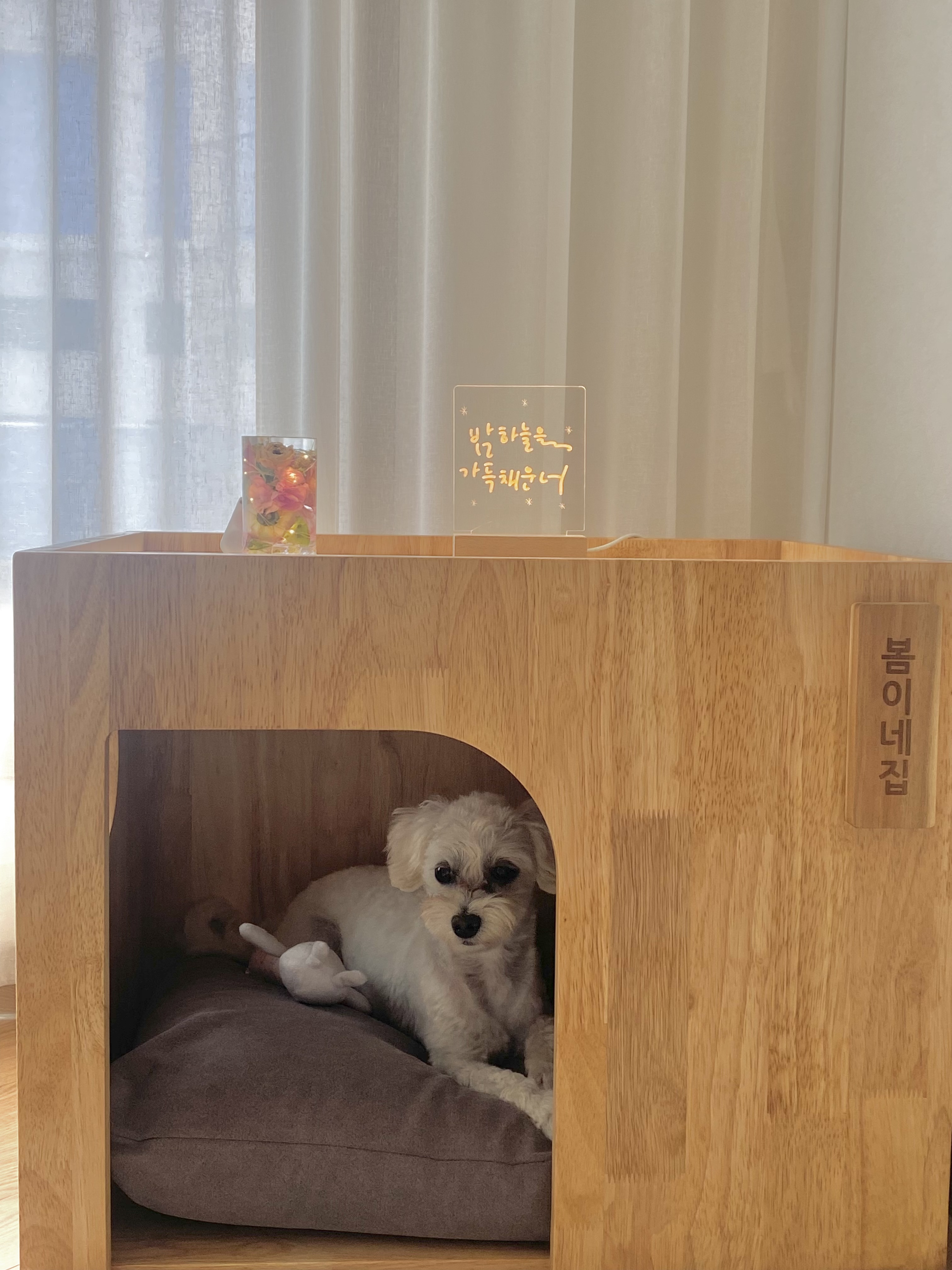애찌 임보 한달 후기