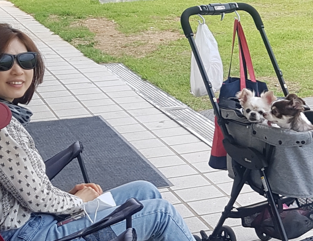 해롱이, 우순이 (평택 번식장 구조) 입양 5년 넘었어요! 완전 잘지냄^^