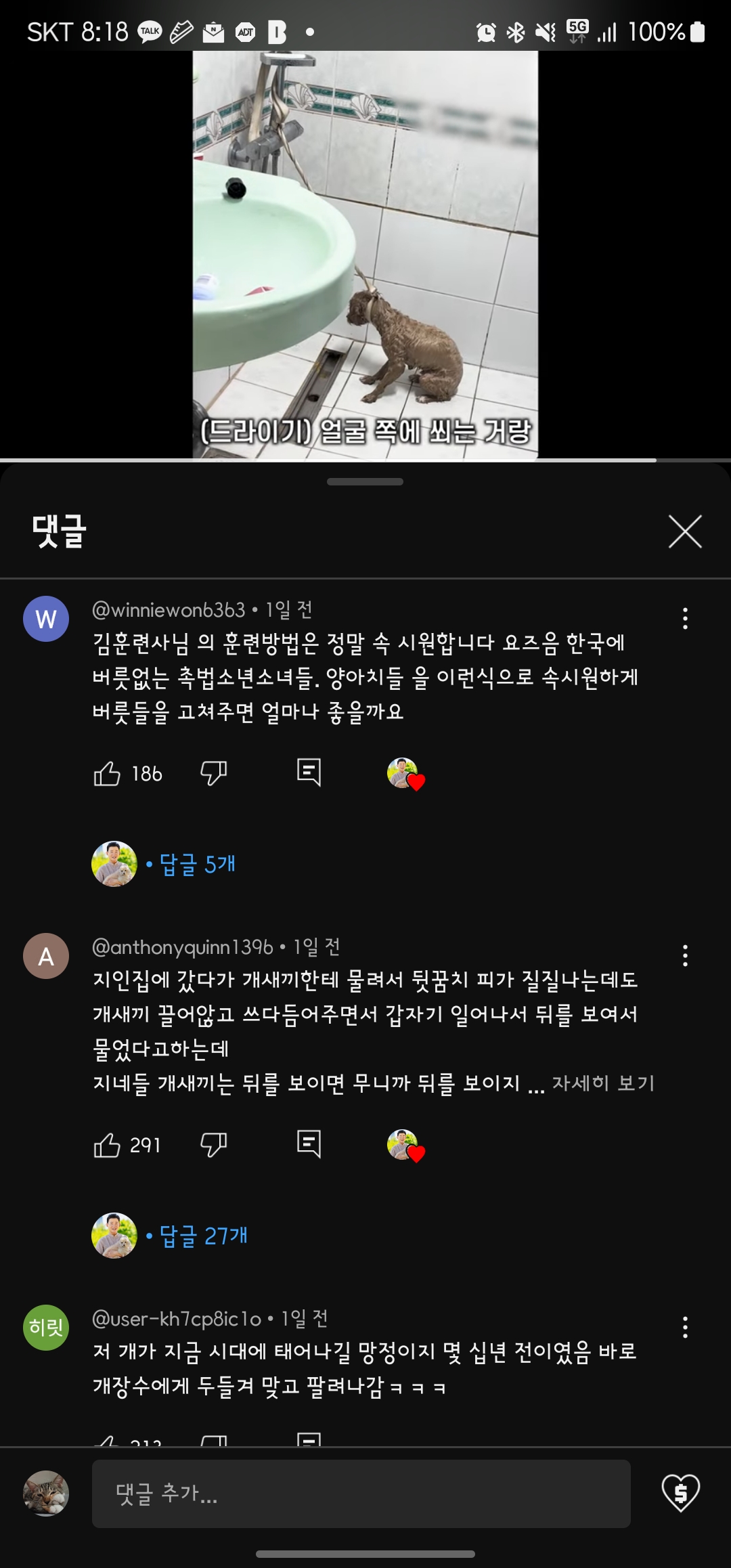 강아지 훈련목적의 학대