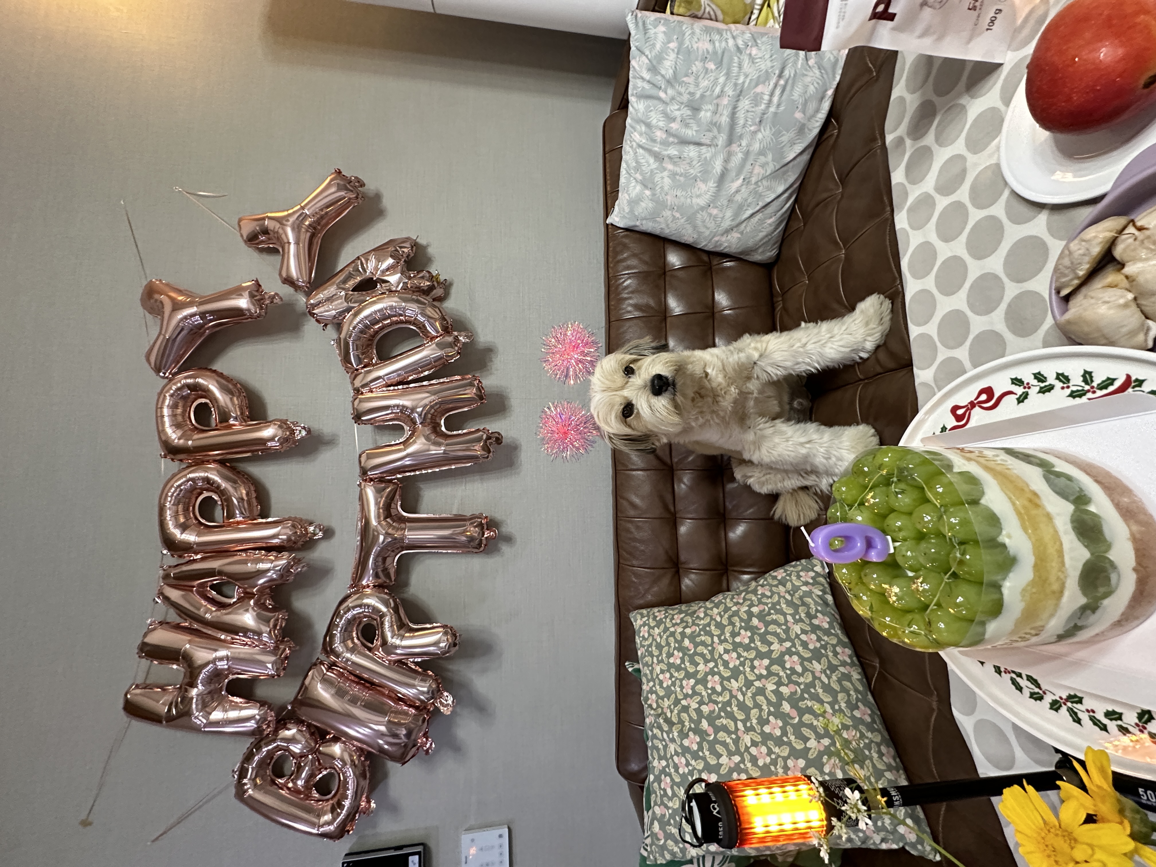 봉구 9살 생일 입니다