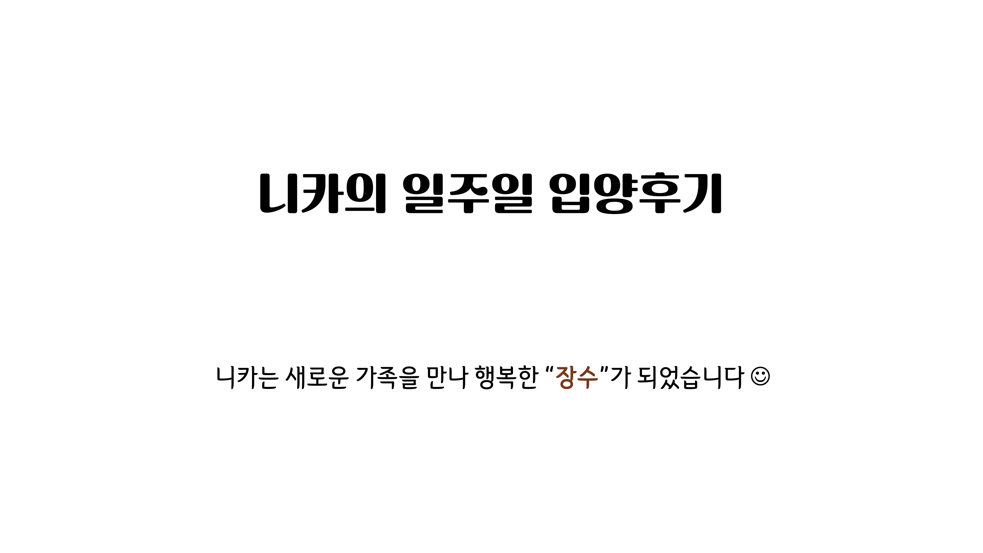 [니카] 장수 입양 일주일 후기글 ❤️