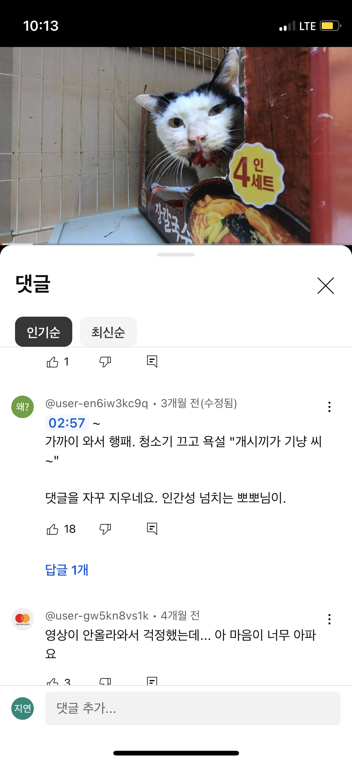 이 고양이를 구해주세요