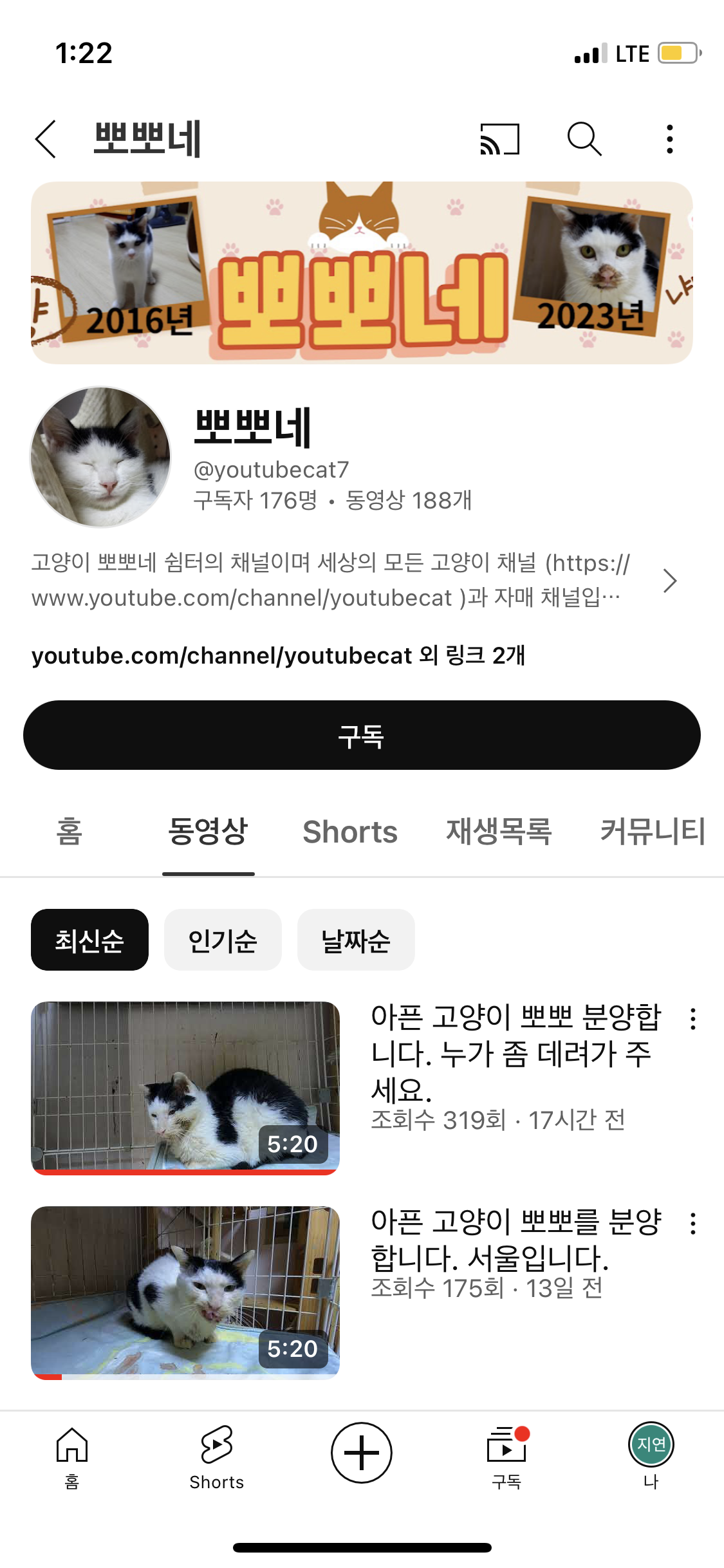 이 고양이를 구해주세요